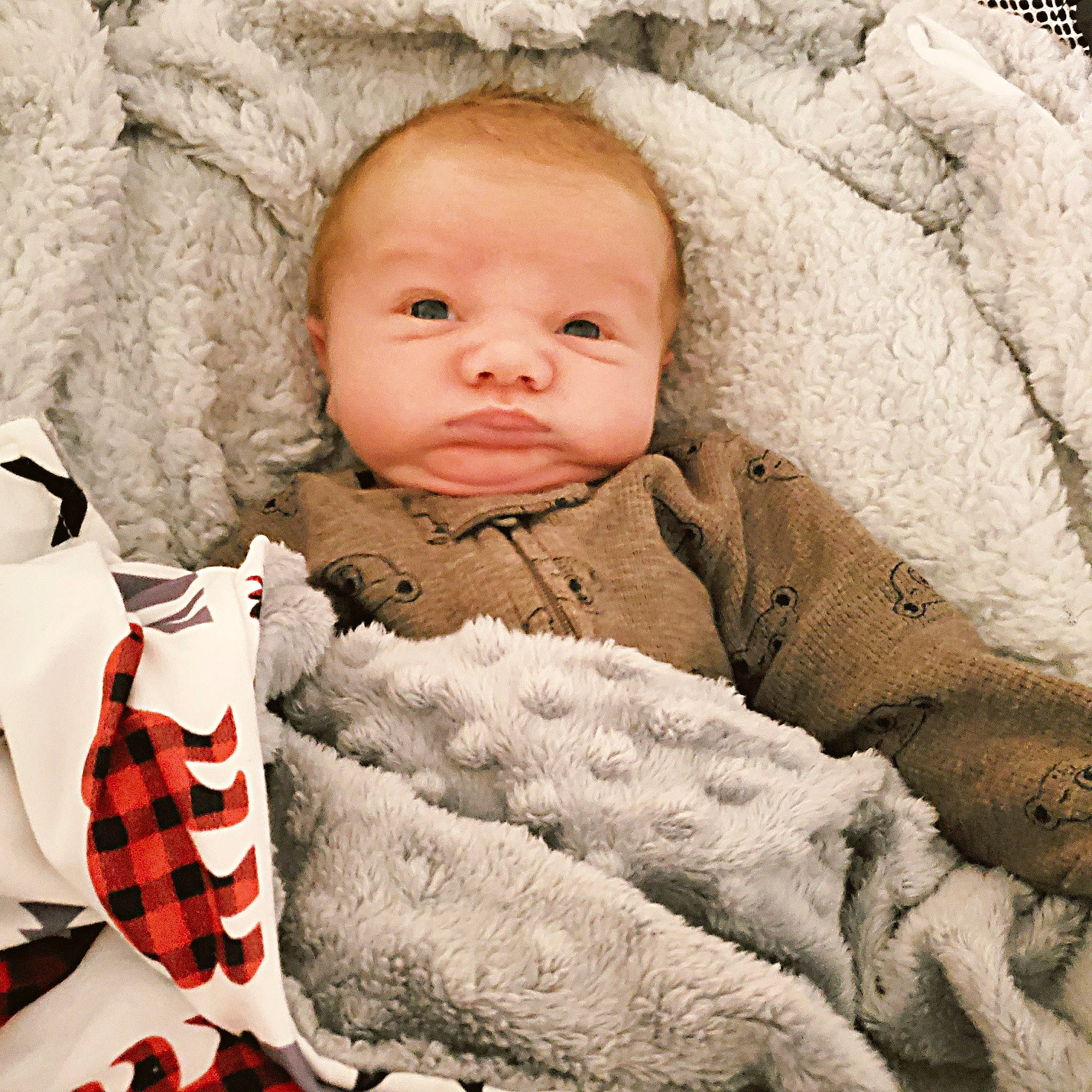 Maveryk joined the competition — help win amazing prizes! baby, baby_products, baby_sleeping, blanket, cheek, child, eye, face, head, human, linens, lip, outerwear, person, skin, textile, toddler, wool