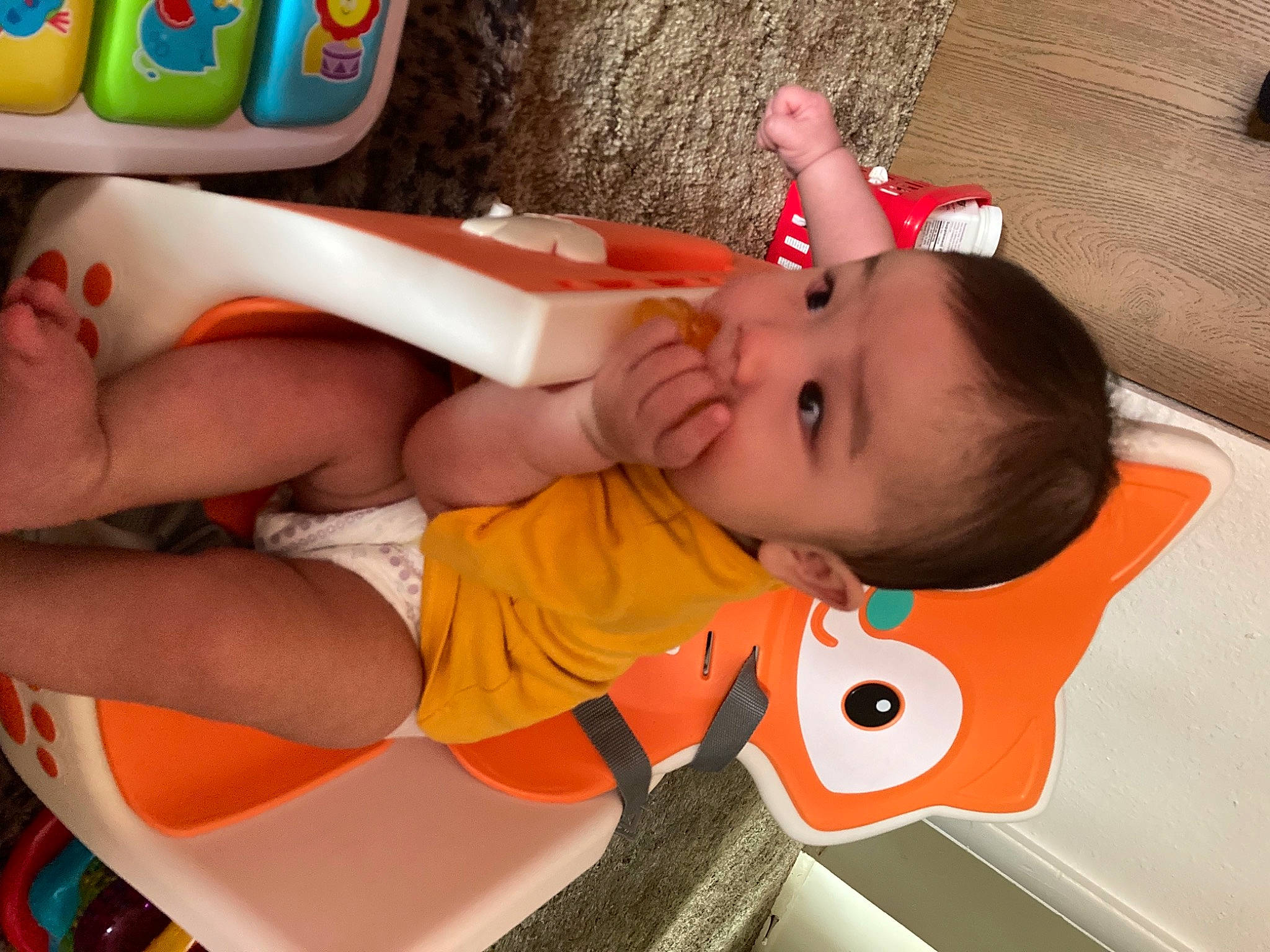 Celeste Luu joined the competition — help win amazing prizes! baby, baby_toddler_clothing, chest, child, facial_expression, finger, fun, head, human_body, human_leg, joint, mouth, muscle, orange, person, product, skin, stomach, thigh, toddler