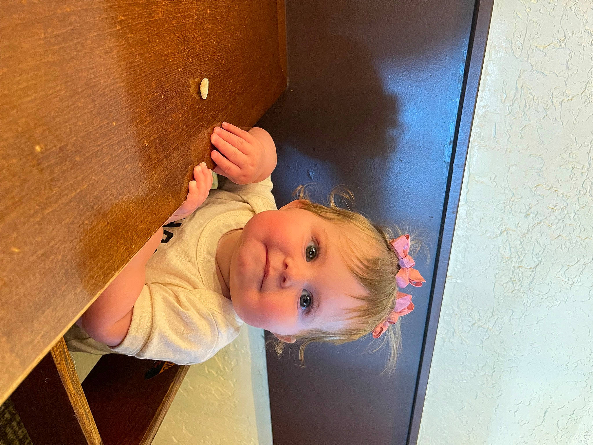 Charlee joined the competition — help win amazing prizes! baby, ball, ceiling, child, elbow, flooring, fun, happy, hardwood, joy, leisure, person, play, room, smile, table, toddler, tree, window, wood