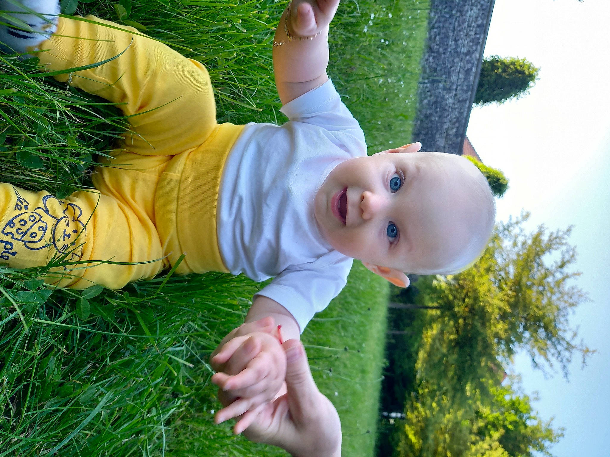 Darius participe au concours pour gagner de l'argent avec cette photo : baby, baby_toddler_clothing, child, facial_expression, fun, gesture, grass, grass_family, green, happy, hat, joy, lawn, leisure, meadow, nose, people_in_nature, person, plant, smile