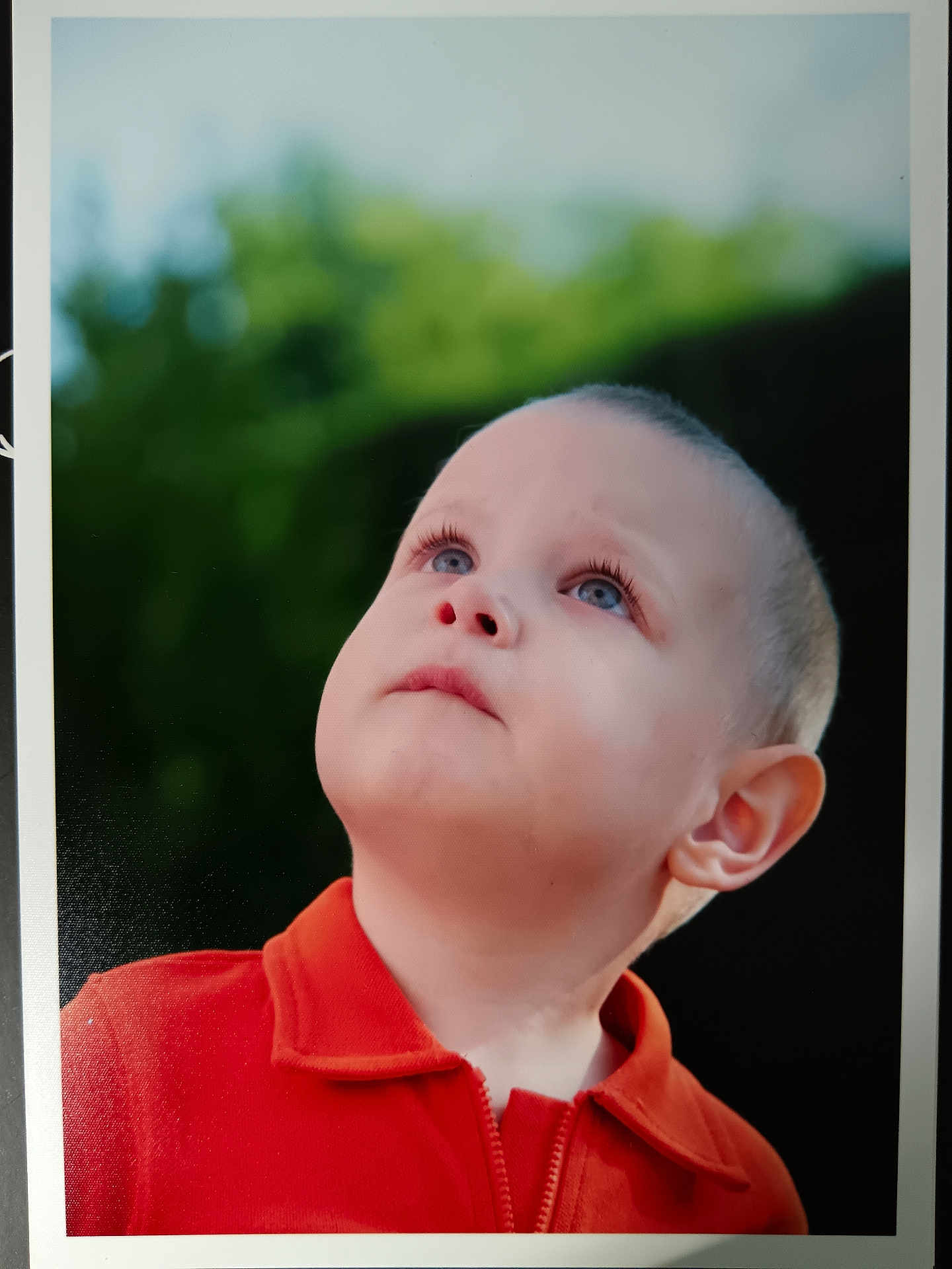 Darius a rejoint le concours — aidez-le/la à gagner de superbes lots ! blue_eyes, boy, casual_clothing, child, closeup, curious, daylight, expression, face, green_background, headshot, innocence, looking_up, nature, outdoor, person, portrait, red_jacket, short_hair, young