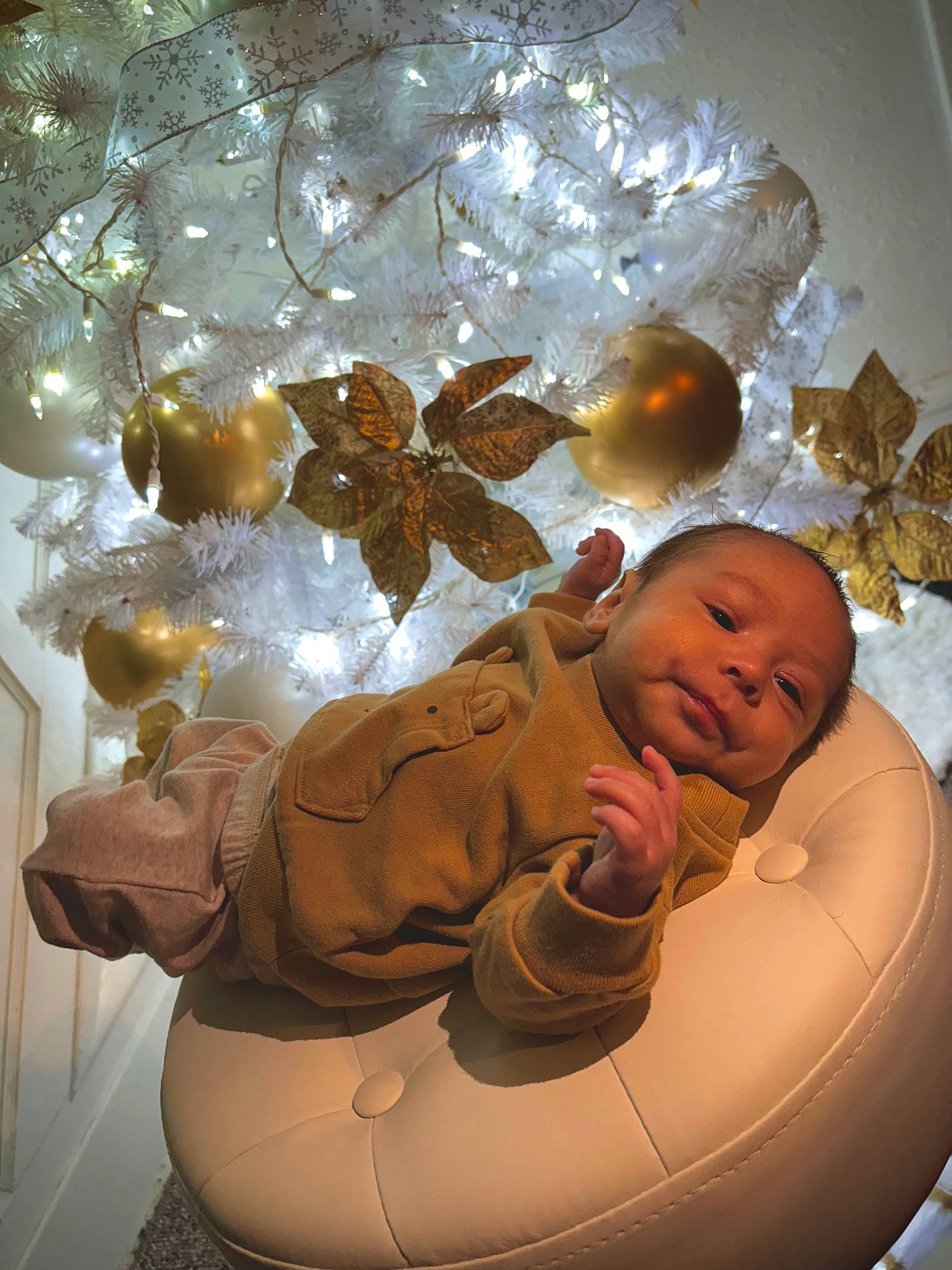Santiago joined the competition — help win amazing prizes! baby, child, christmas, christmas_decoration, christmas_eve, christmas_ornament, event, fashion_accessory, fun, glass, happy, holiday, holiday_ornament, interior_design, jewellery, light_fixture, ornament, person, toddler, tree