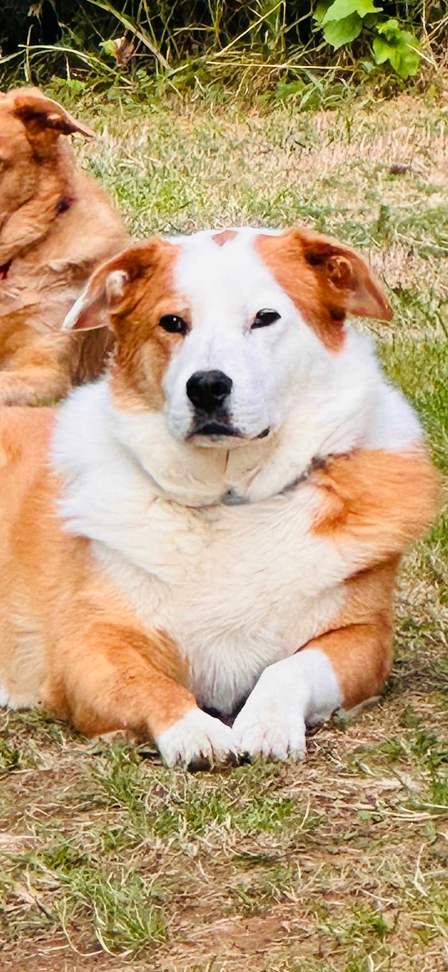 Sam