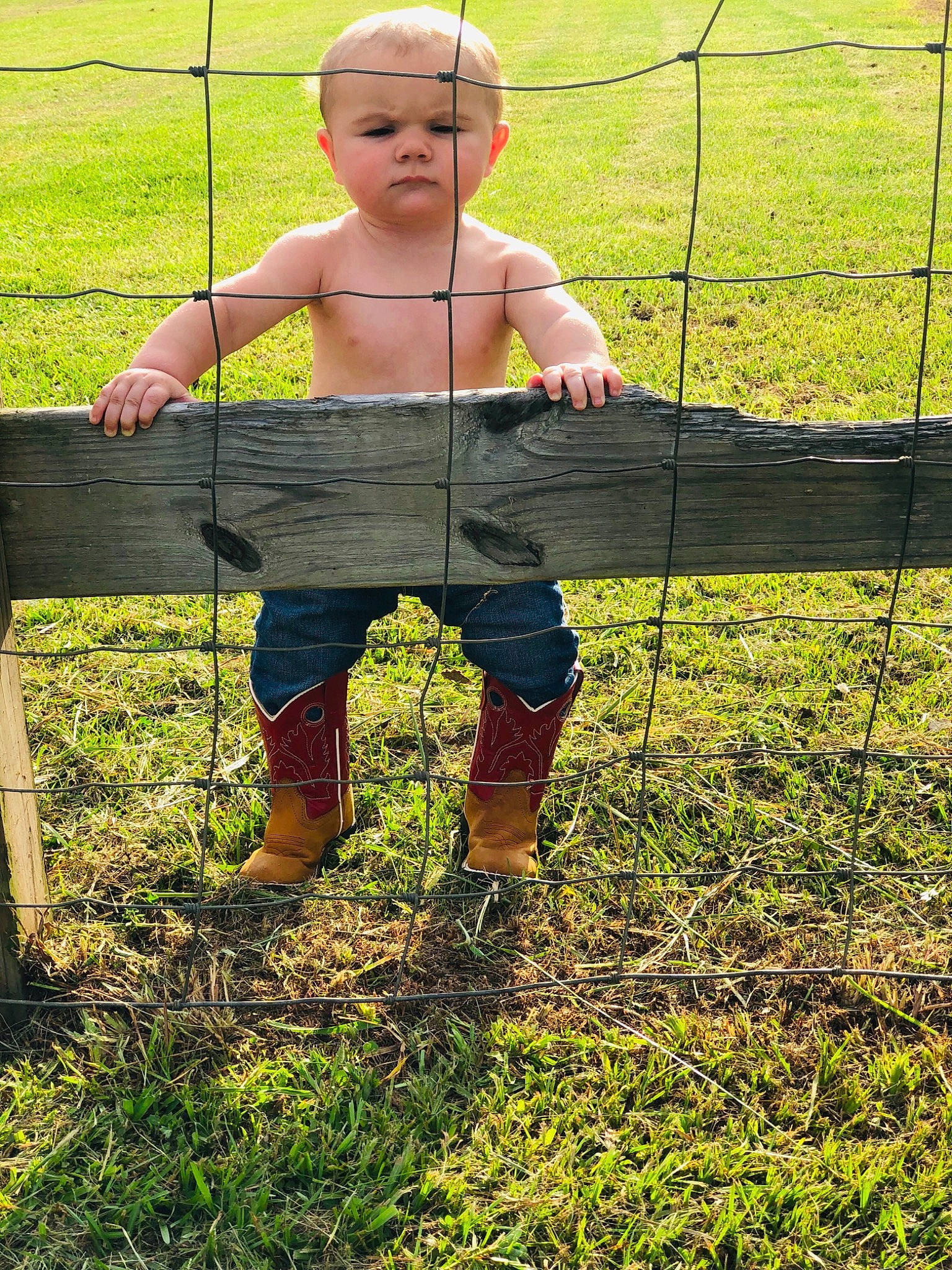 Hunter joined the competition — help win amazing prizes! child, farm, fence, fun, grass, green, happy, male, meadow, person, plant, rural_area, smile, soil, summer, toddler, tree, vacation, yard