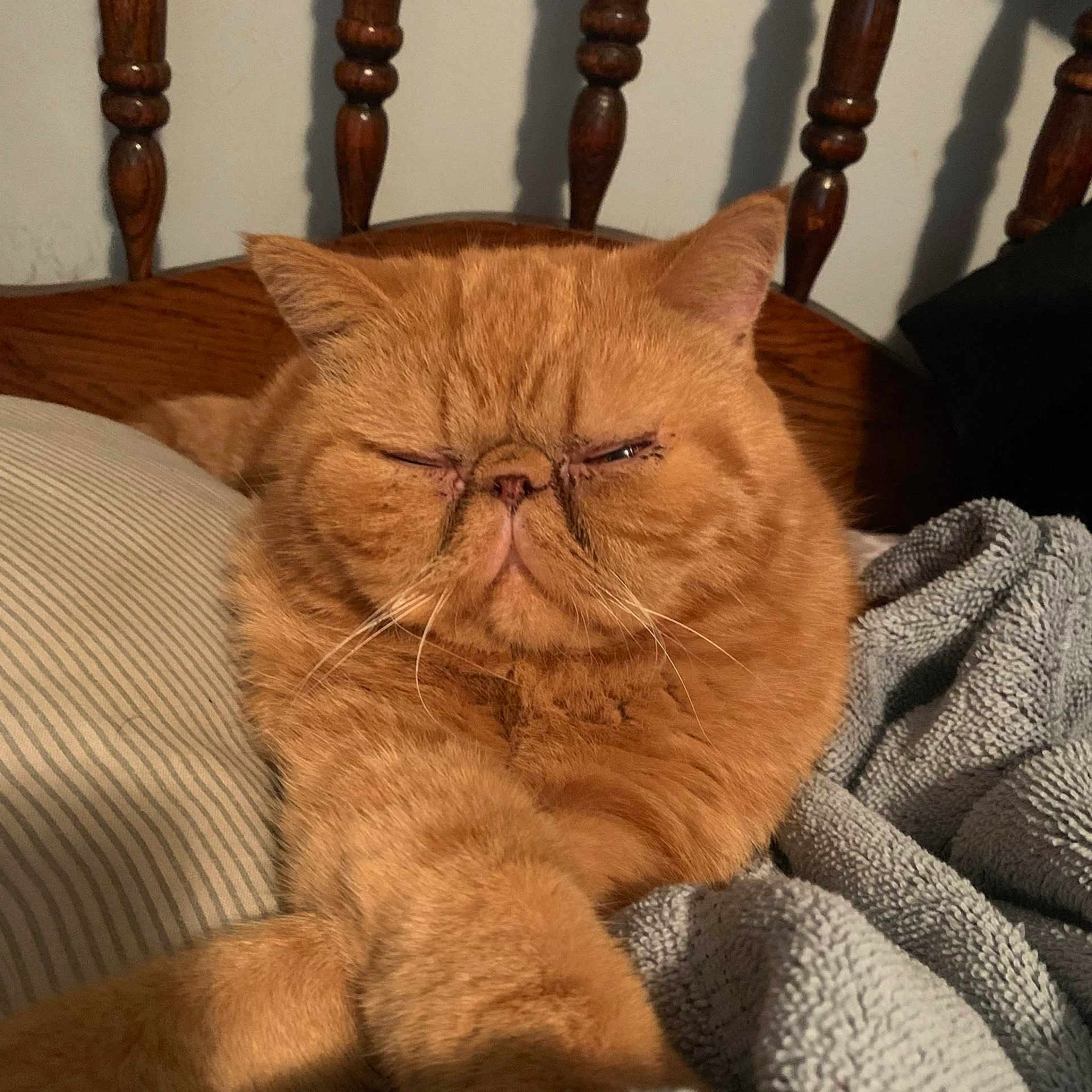 Garfield