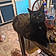 Salem