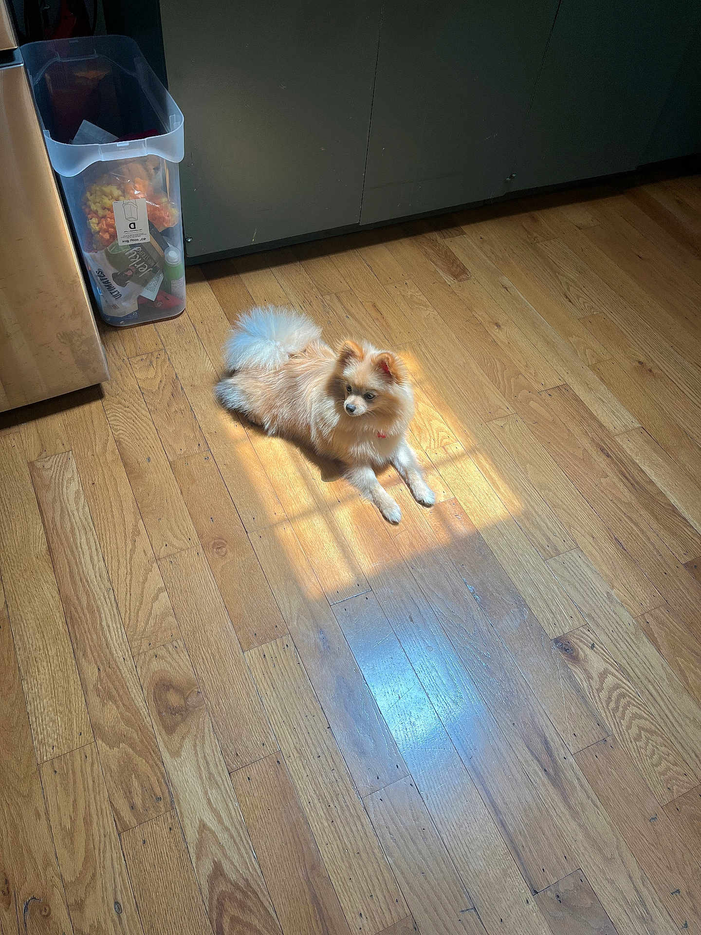 Finn
