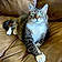 Tabitha