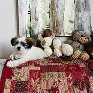 Stella joined the competition — help win amazing prizes! puppy, dog, stuffed_animal, plush_toy, quilt, patchwork, couch, painting, wall_art, indoor, cozy, brown, white, red, pattern, decor, animal, cute, pet, relaxing