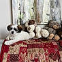 puppy, dog, stuffed_animal, plush_toy, quilt, patchwork, couch, painting, wall_art, indoor, cozy, brown, white, red, pattern, decor, animal, cute, pet, relaxing