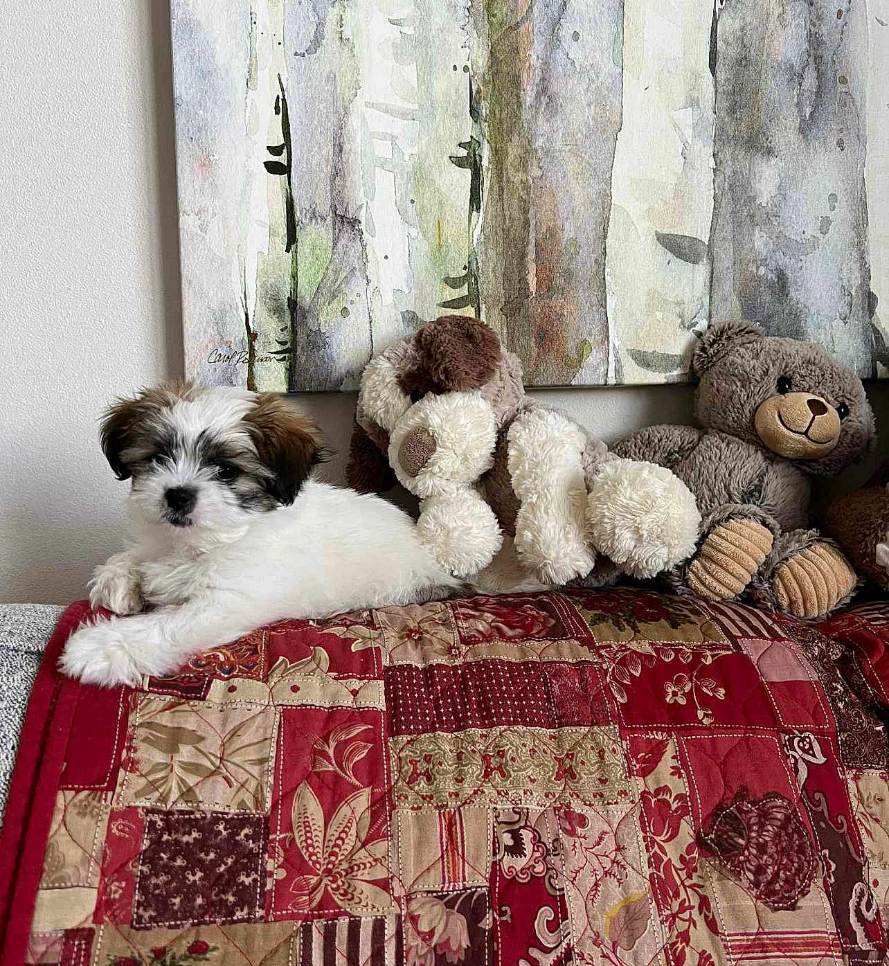 Stella joined the competition — help win amazing prizes! puppy, dog, stuffed_animal, plush_toy, quilt, patchwork, couch, painting, wall_art, indoor, cozy, brown, white, red, pattern, decor, animal, cute, pet, relaxing