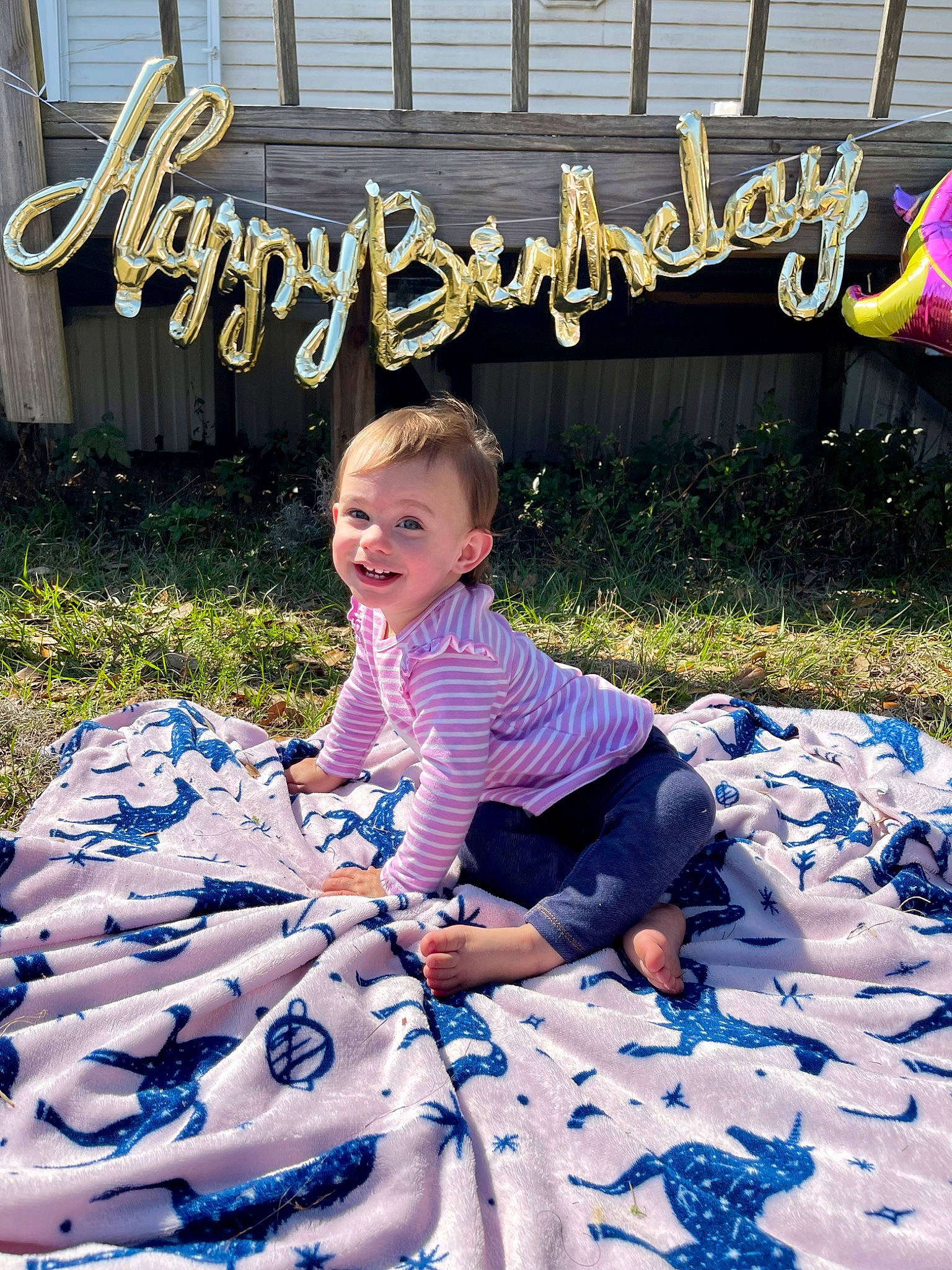 Rosalie is registered to the contest to win money with this photo: azure, baby_toddler_clothing, blue, child, electric_blue, fun, grass, happy, joy, leaf, leisure, people, people_in_nature, person, photograph, plant, purple, smile, summer, t_shirt