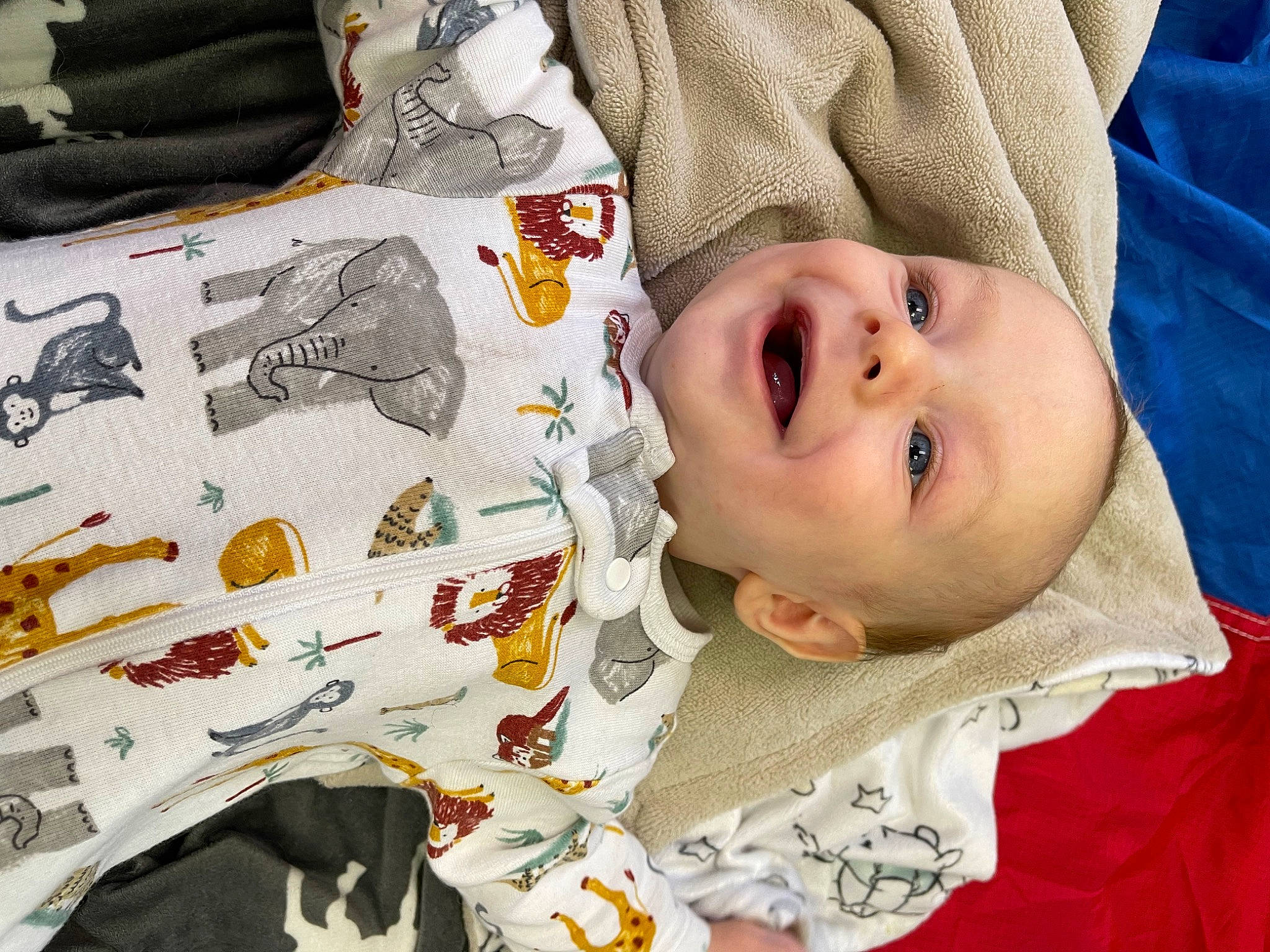 Wyatt joined the competition — help win amazing prizes! art, baby, baby_products, baby_toddler_clothing, carmine, cheek, child, comfort, happy, linens, pattern, person, product, room, sleeve, smile, t_shirt, textile, toddler, visual_arts