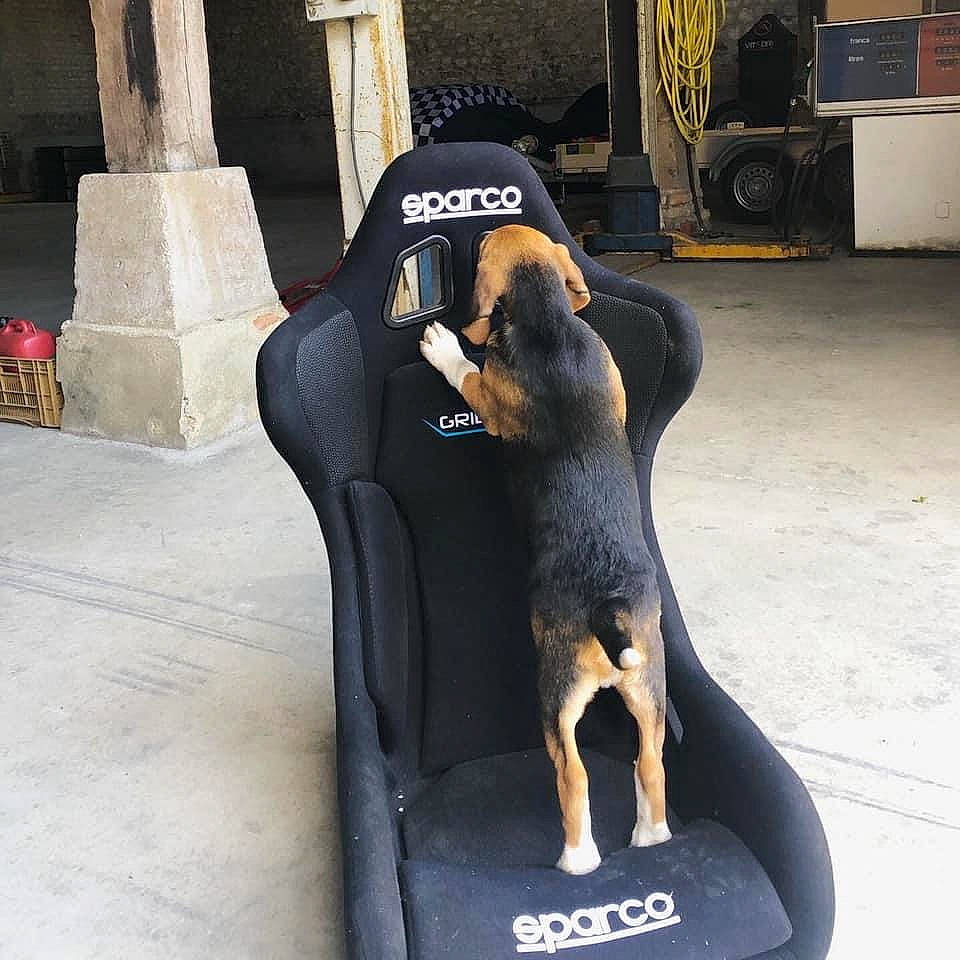 Sparco