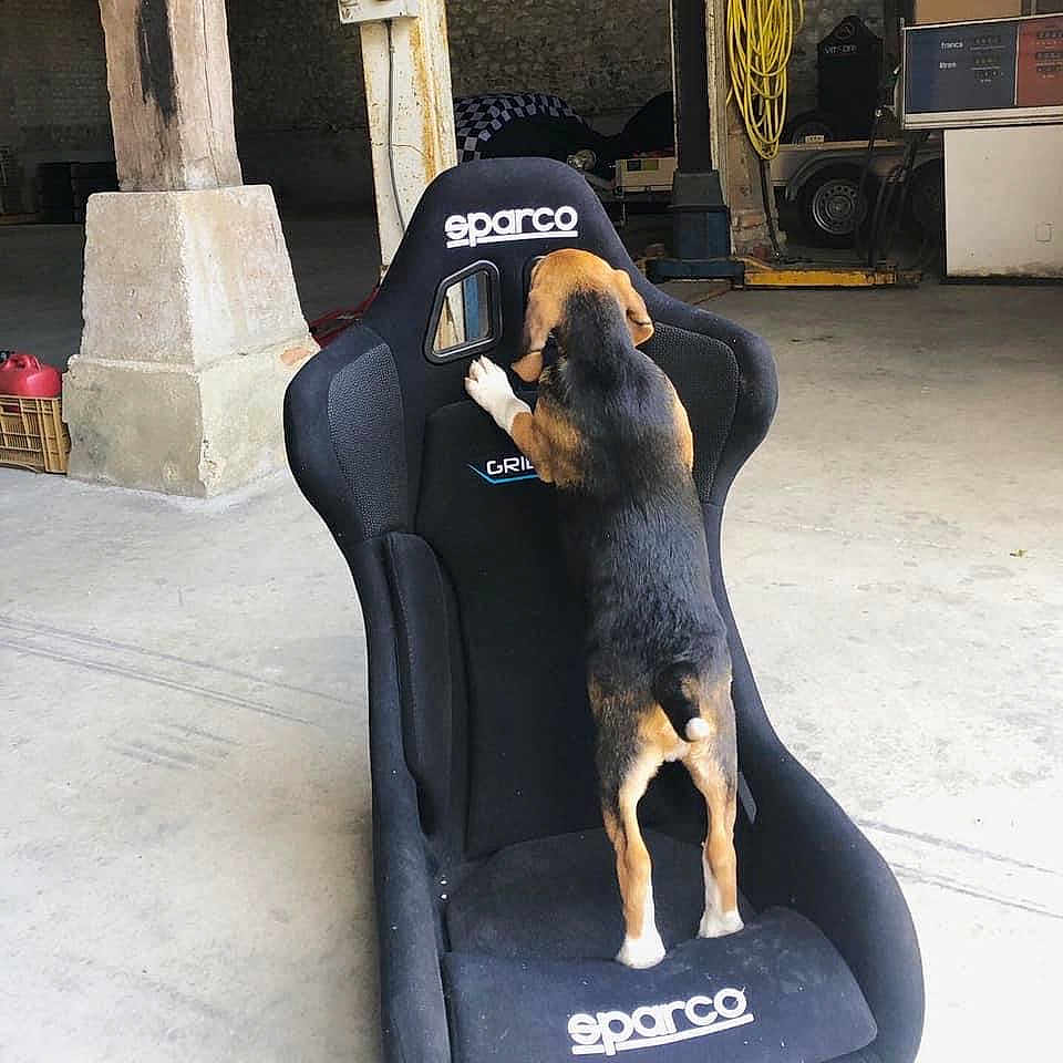 Sparco