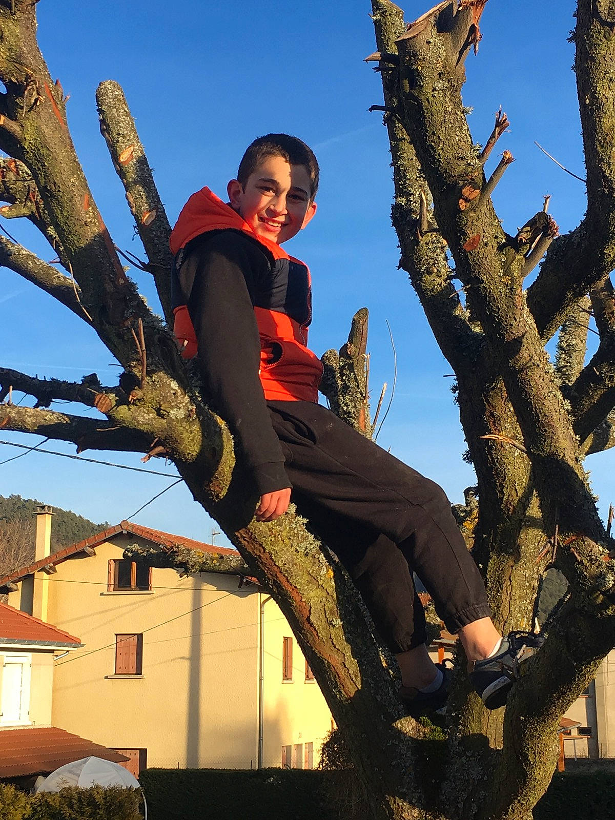 Leandro a rejoint le concours — aidez-le/la à gagner de superbes lots ! branch, joy, person, plant, sky, tree, trunk, woody_plant