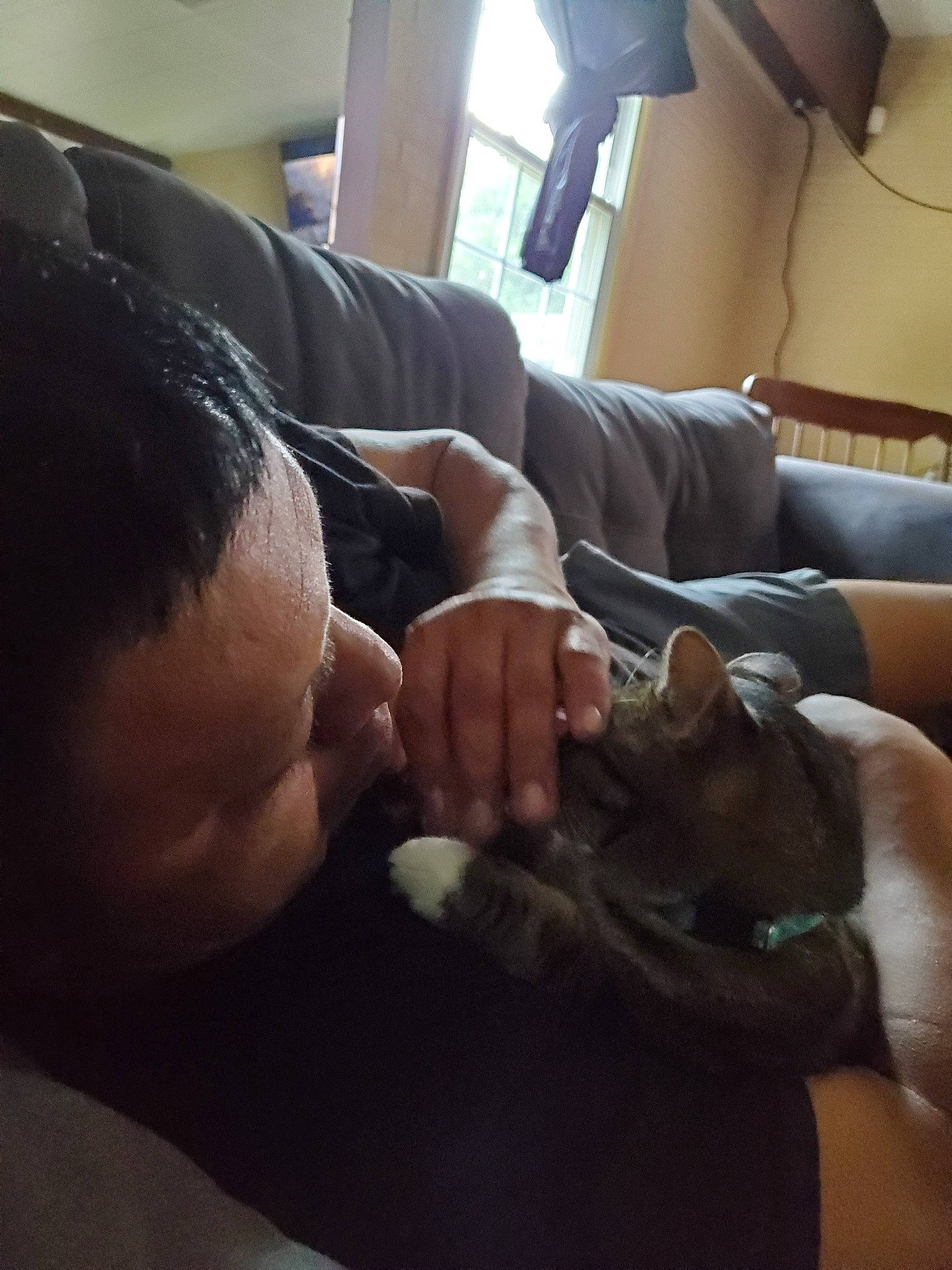 Fat Louie is registered to the contest to win money with this photo: arm, cat, ear, felidae, finger, hand, leg, muscle, nail, sporting_group