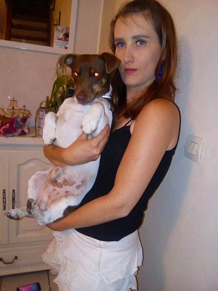 Félix a rejoint le concours — aidez-le/la à gagner de superbes lots ! abdomen, carnivore, chest, child, companion_dog, dog, dog_breed, ear, elbow, fawn, formal_wear, fur, happy, joint, shoulder, sitting, sleeveless_shirt, thigh, toy, trunk