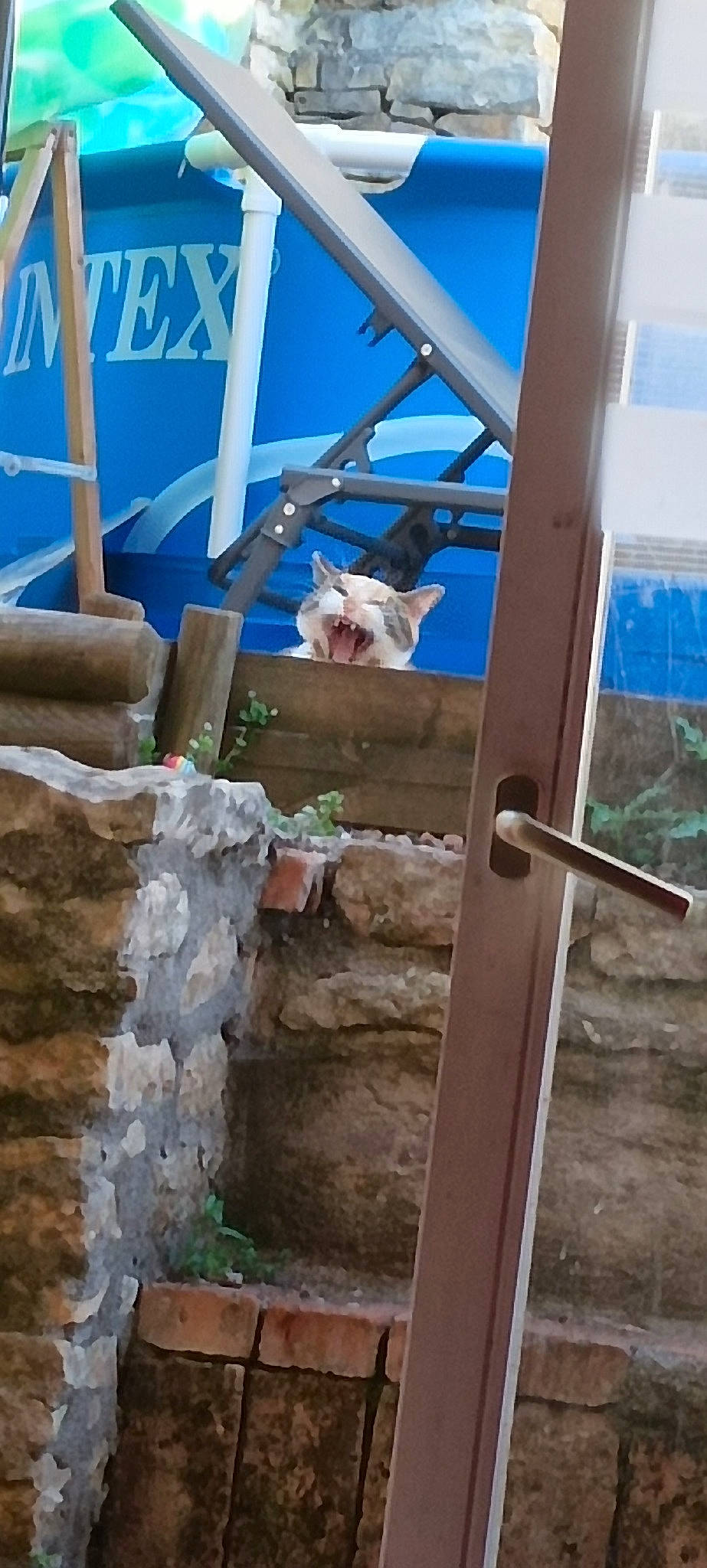 Daisy a rejoint le concours — aidez-le/la à gagner de superbes lots ! beam, brick, brickwork, building, daylighting, gas, hardwood, hat, house, leisure, metal, property, room, sky, soil, t_shirt, wood