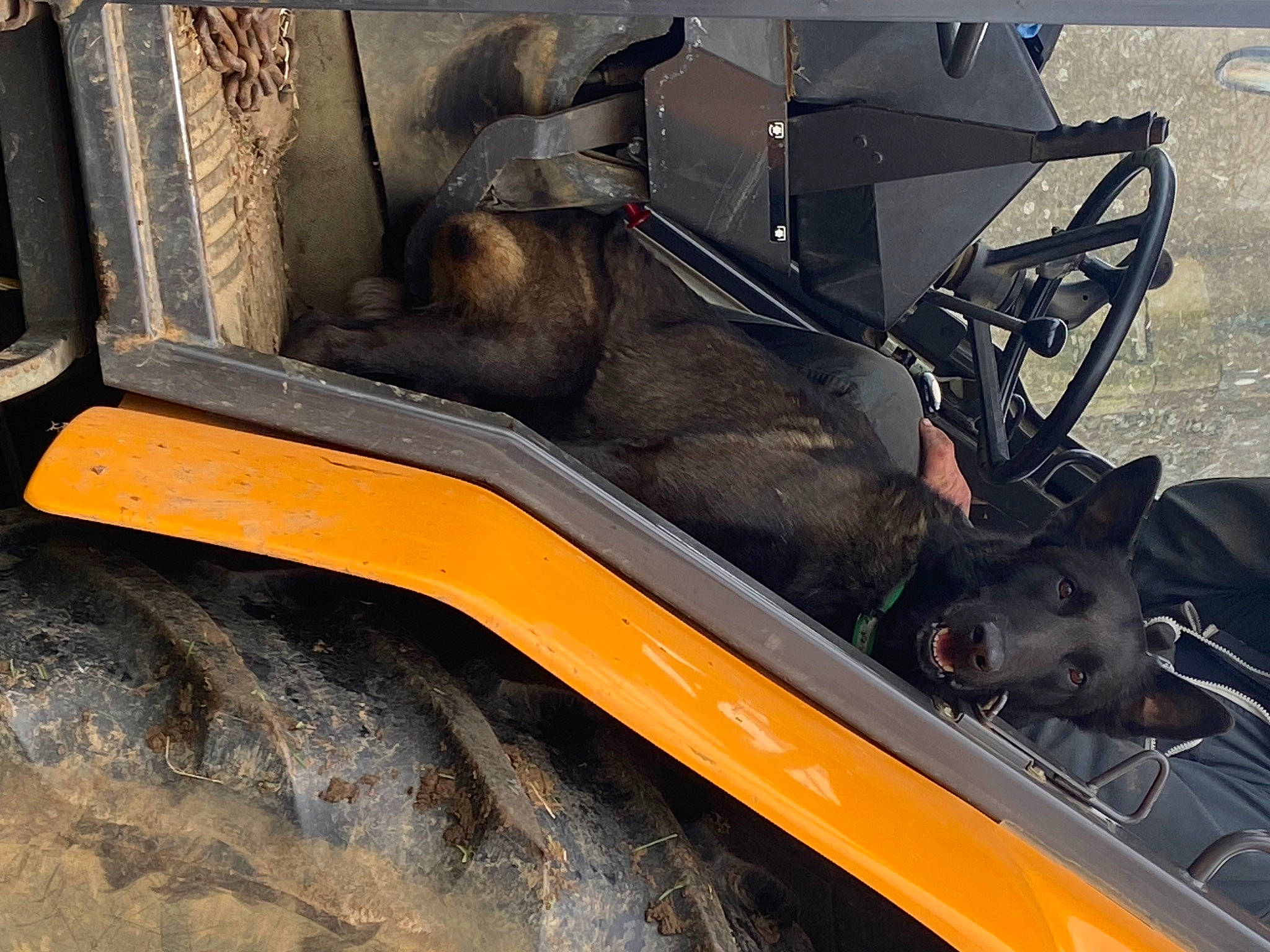 Phénix a rejoint le concours — aidez-le/la à gagner de superbes lots ! asphalt, auto_part, automotive_design, automotive_exhaust, automotive_exterior, automotive_lighting, automotive_tire, automotive_wheel_system, bumper, fender, gas, helmet, hood, metal, motor_vehicle, rim, tire, vehicle, vehicle_door, wheel