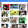 calendar, cat, dog, pet, photo, portrait, animal, cute, furry, outdoor, indoor, grass, pool, bench, sunglasses, couch, leash, toy, colorful, name