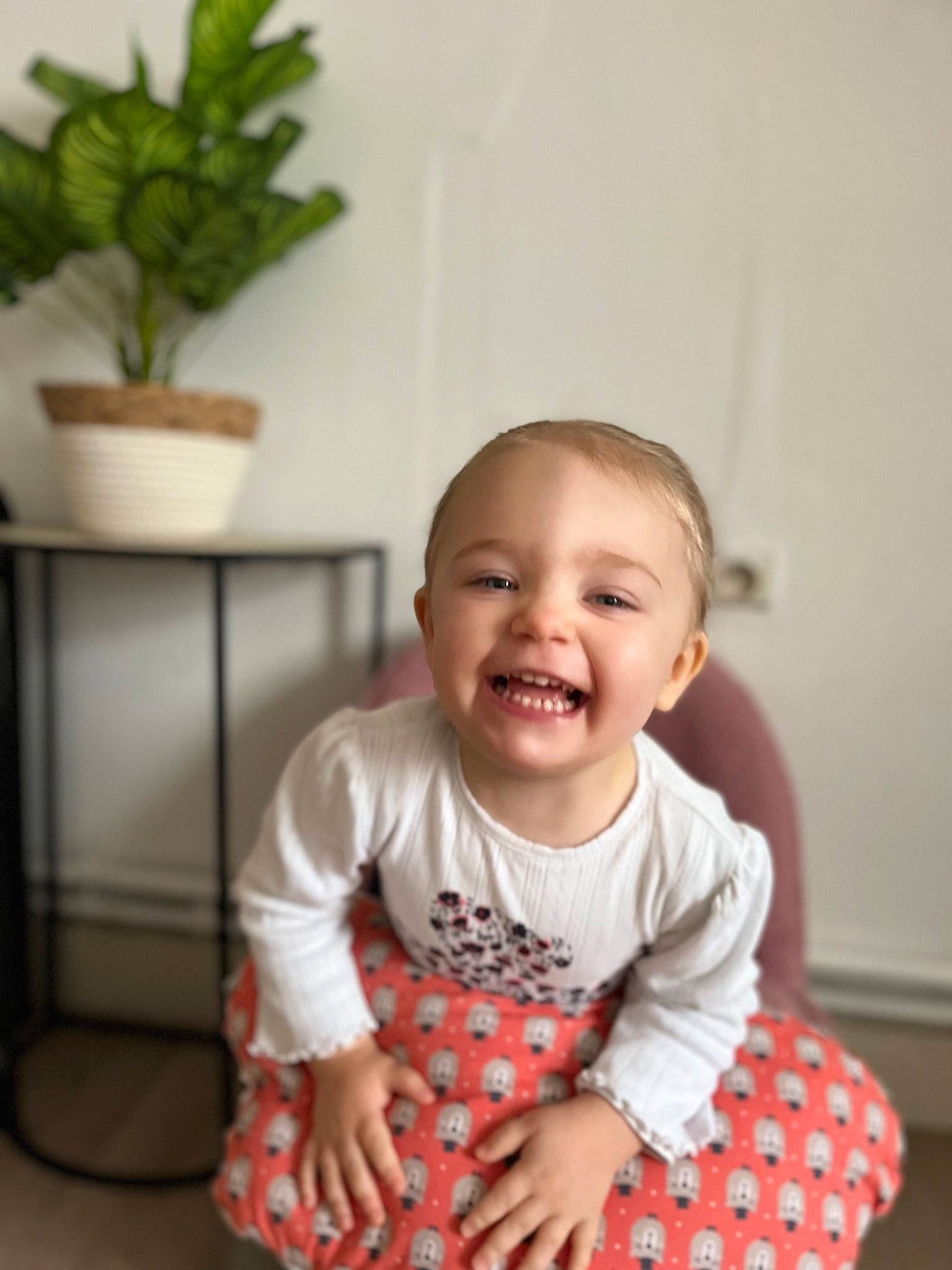Romane a rejoint le concours — aidez-le/la à gagner de superbes lots ! baby, baby_toddler_clothing, child, comfort, flooring, flowerpot, happy, houseplant, joy, pattern, person, plant, portrait_photography, room, sitting, skin, sleeve, smile, t_shirt, table