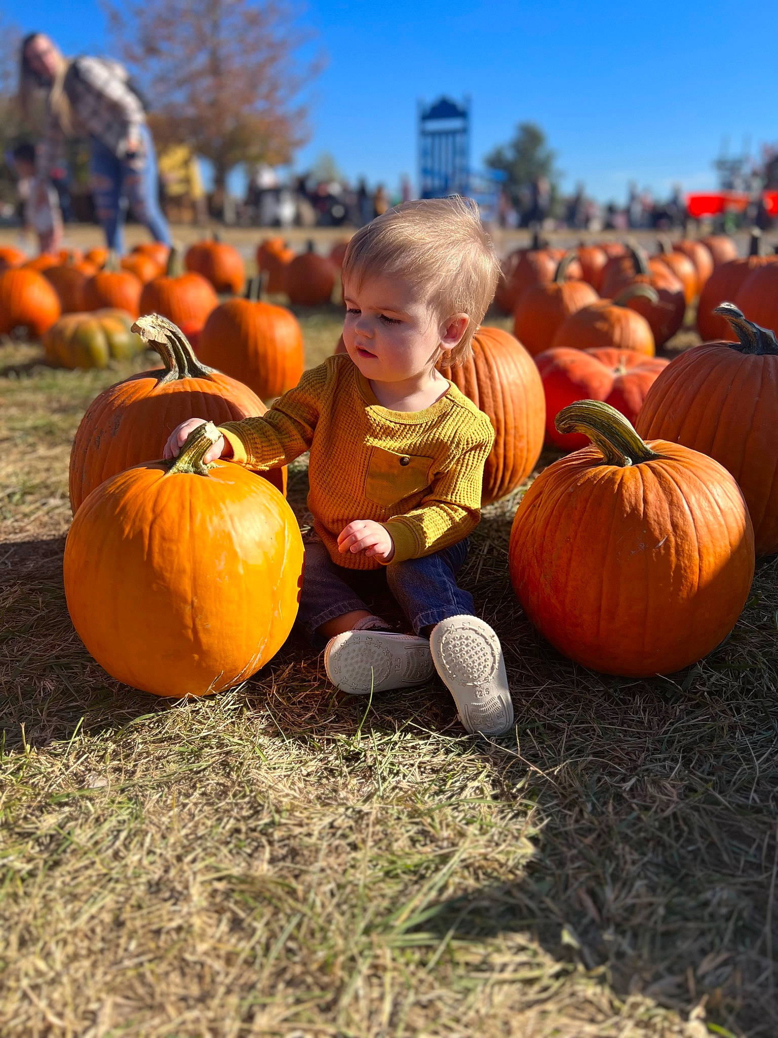 Landon joined the competition — help win amazing prizes! calabaza, cucurbita, field, gourd, grass, happy, landscape, local_food, natural_foods, people_in_nature, person, plant, pumpkin, sky, squash, toddler, tree, vegetable, whole_food, winter_squash