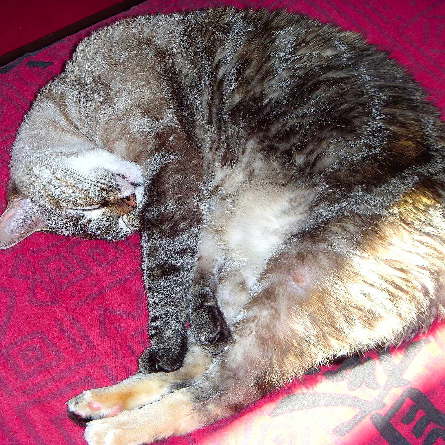 Lili