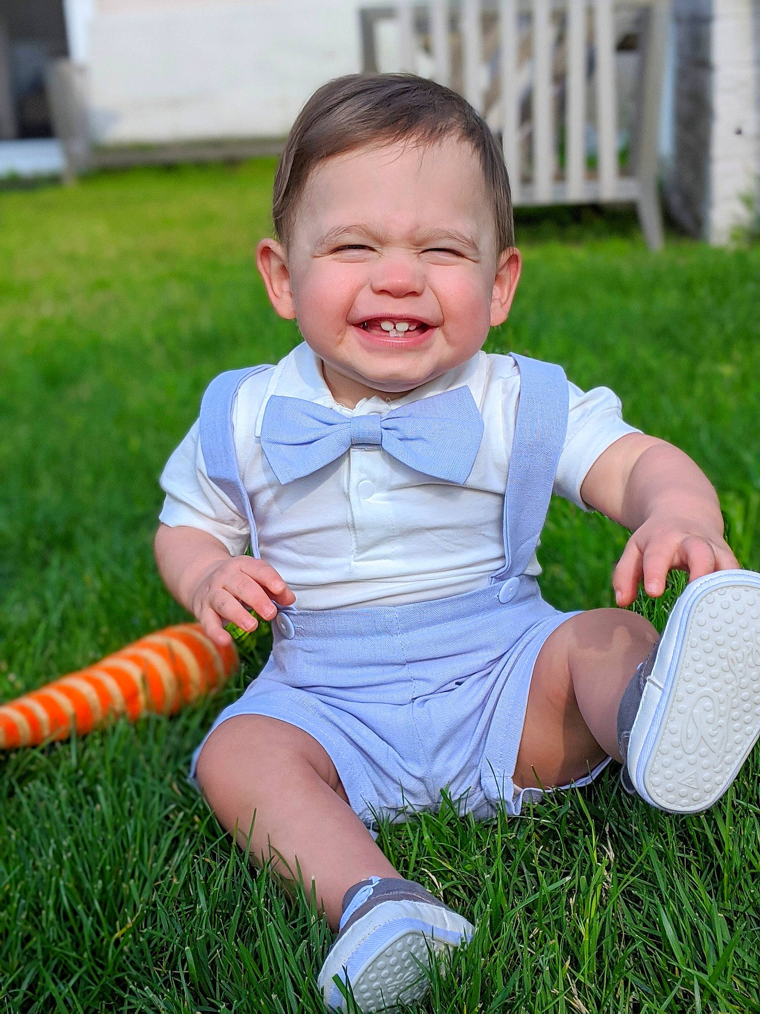Dominik is registered to the contest to win money with this photo: baby, baby_toddler_clothing, backyard, child, garden, grass, grass_family, happy, joy, lawn, person, plant, play, sitting, skin, smile, toddler, yard