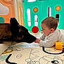 baby, dog, playpen, toy, indoor, curious, interaction, floor_mat, child, pet, crawling, colorful, fence, closeup, head, face, bonding, smiling, toddler, animal