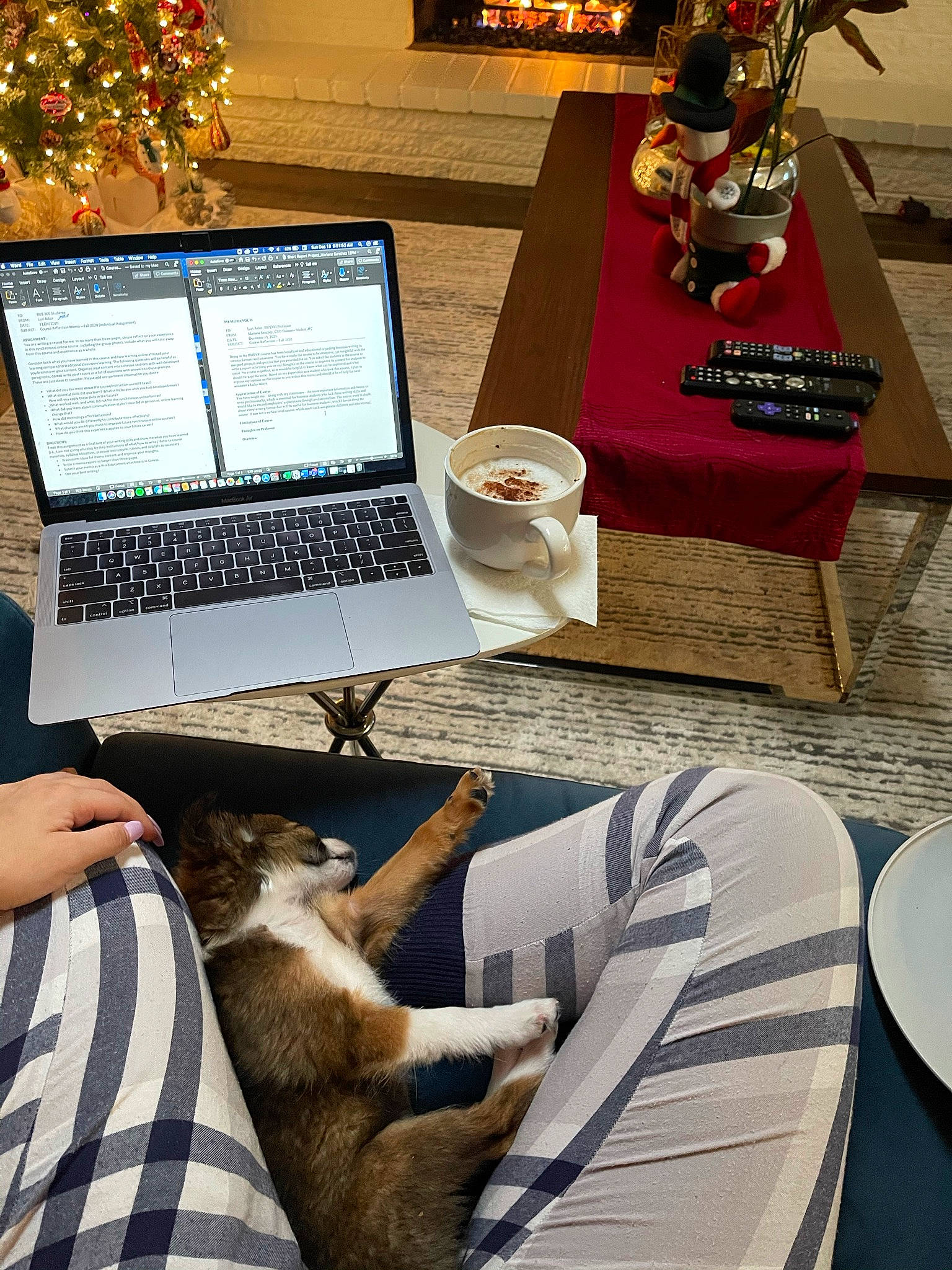 Mochi is registered to the contest to win money with this photo: computer, computer_hardware, dishware, display_device, electronic_device, flat_panel_display, fur, home_accessories, laptop, laptop_accessory, laptop_part, netbook, office_equipment, personal_computer, portable_communications_device, serveware, space_bar, table, technology, touchpad