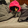 Copper-Lynn joined the competition — help win amazing prizes! cat, animal, pet, bed, blanket, hoodie, pink, black, orange, fur, whiskers, indoor, cozy, resting, feline, cute, domestic, sleepwear, wood, headboard