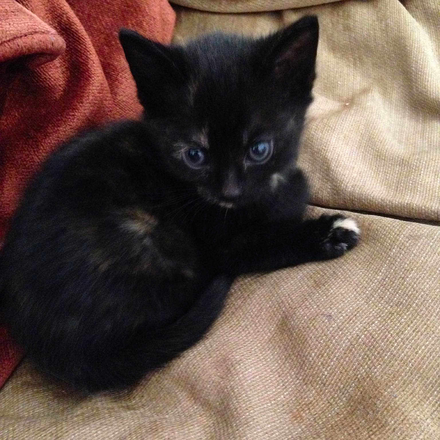 Coco is registered to the contest to win money with this photo: