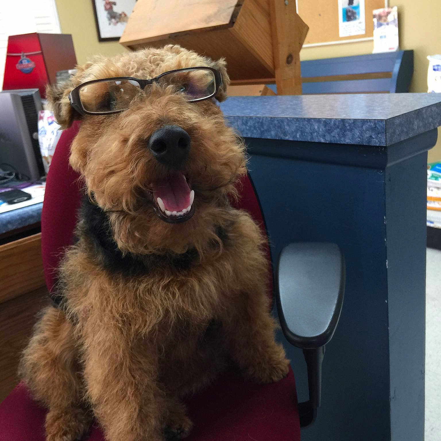 Luke is registered to the contest to win money with this photo: