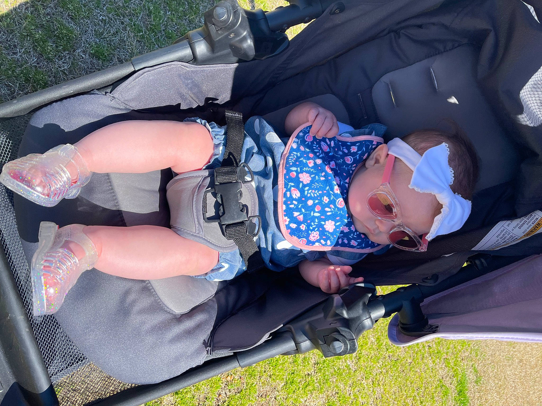 Paisley joined the competition — help win amazing prizes! auto_part, baby, baby_carriage, baby_products, baby_toddler_clothing, bag, child, comfort, fun, grass, hat, lap, luggage_and_bags, person, personal_protective_equipment, plant, recreation, toddler, tree