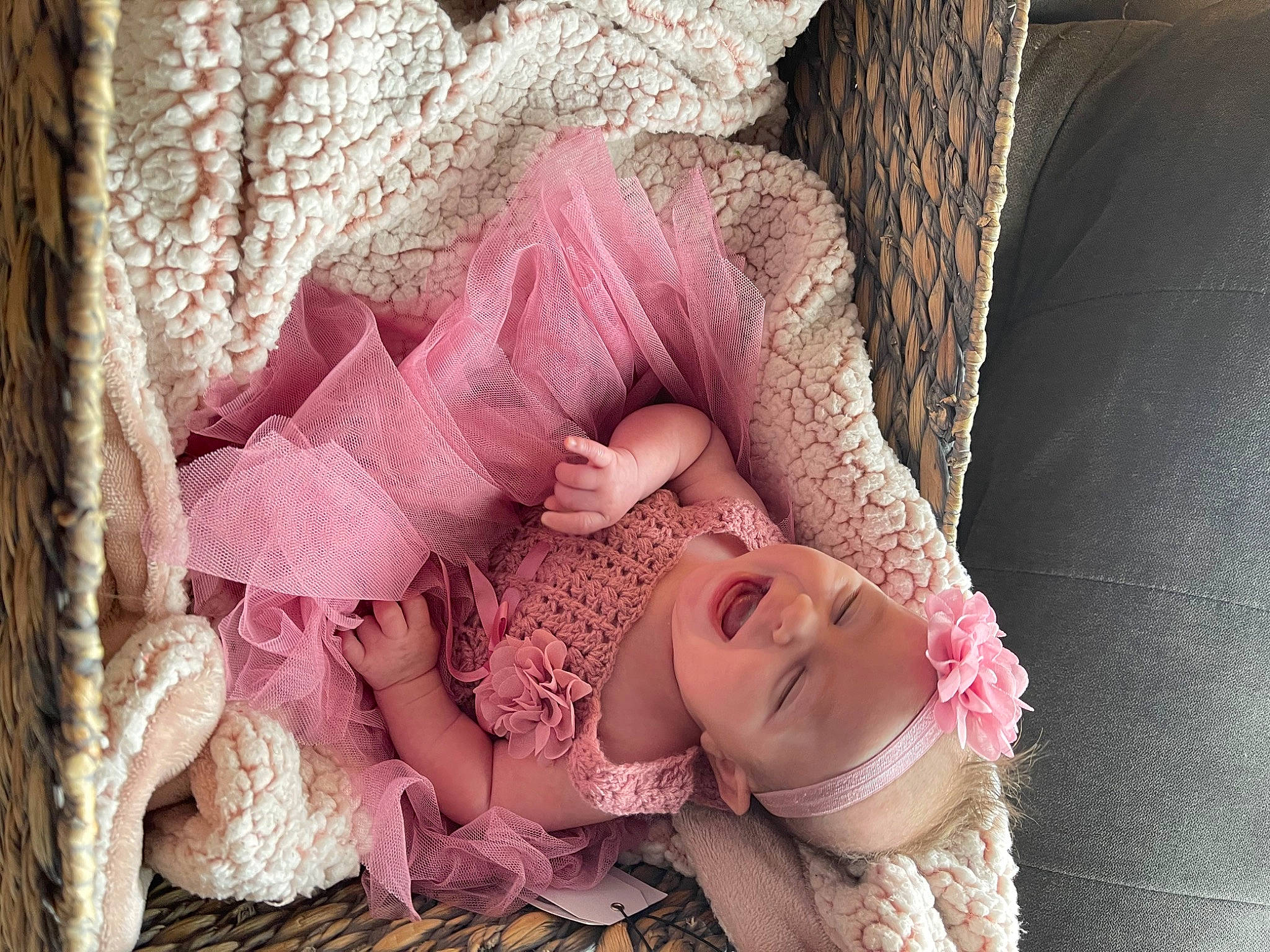 Paisley joined the competition — help win amazing prizes! baby, baby_toddler_clothing, comfort, dress, eyelash, happy, headpiece, headwear, leg, linens, lip, magenta, pattern, person, pink, skin, smile, textile, toddler, tree