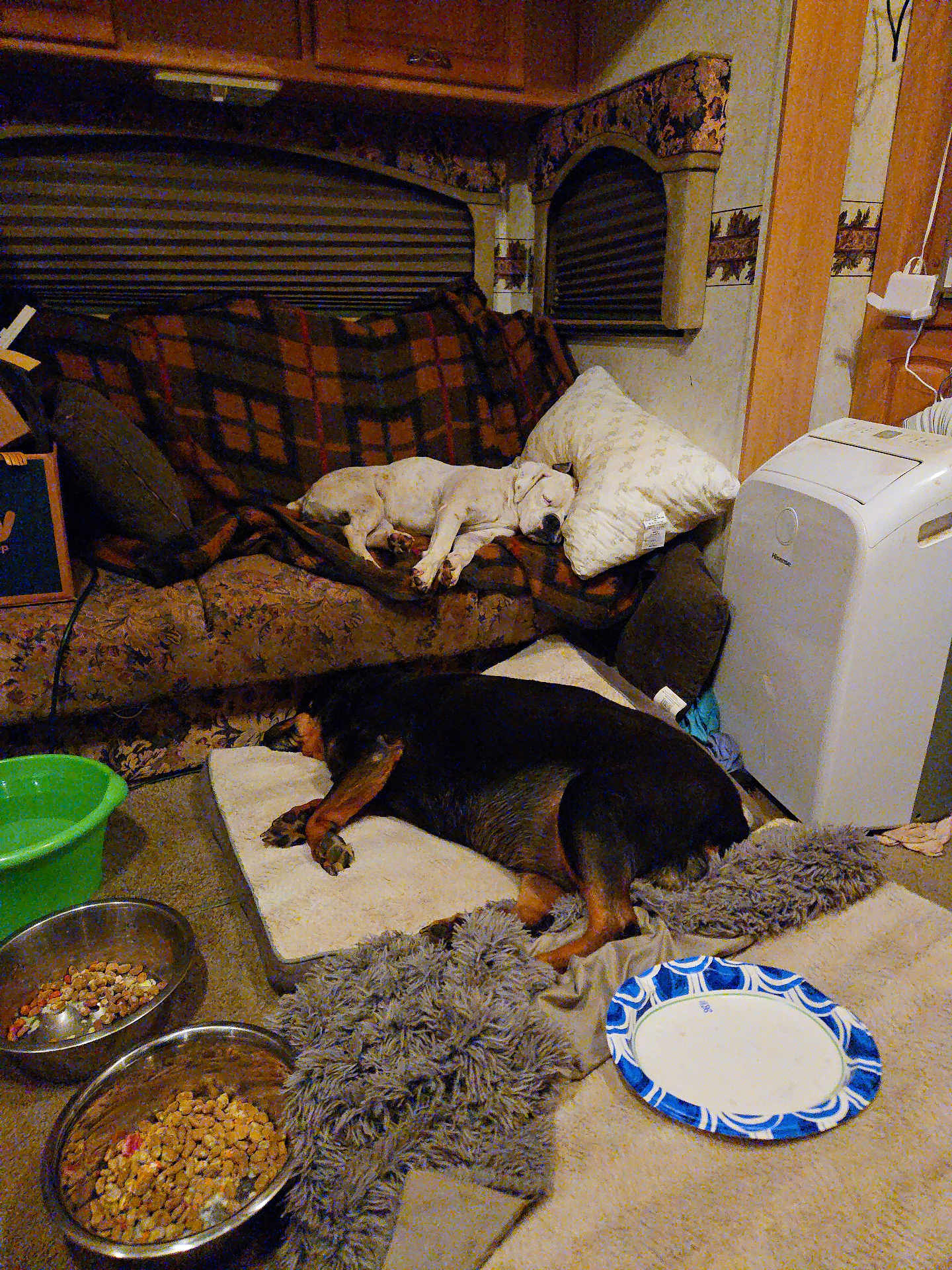 Riley And Lucy is registered to the contest to win money with this photo: dog, sleeping, couch, blanket, pillow, floor, mat, rug, food_bowl, paper_plate, indoor, cozy, resting, pet, animal, carpet, home, appliance, brown, white