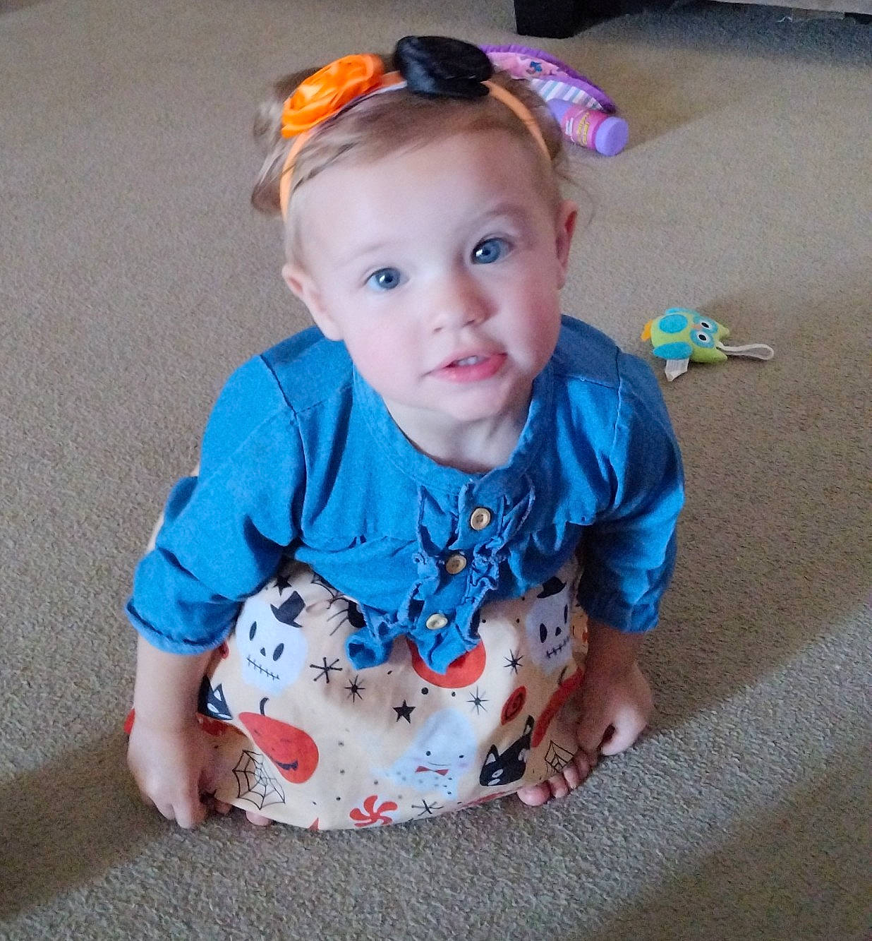 Lilly is registered to the contest to win money with this photo: baby, baby_toddler_clothing, child, day_dress, dress, electric_blue, fashion_accessory, flooring, fun, grass, happy, hat, iris, pattern, person, play, sitting, sleeve, t_shirt, toddler