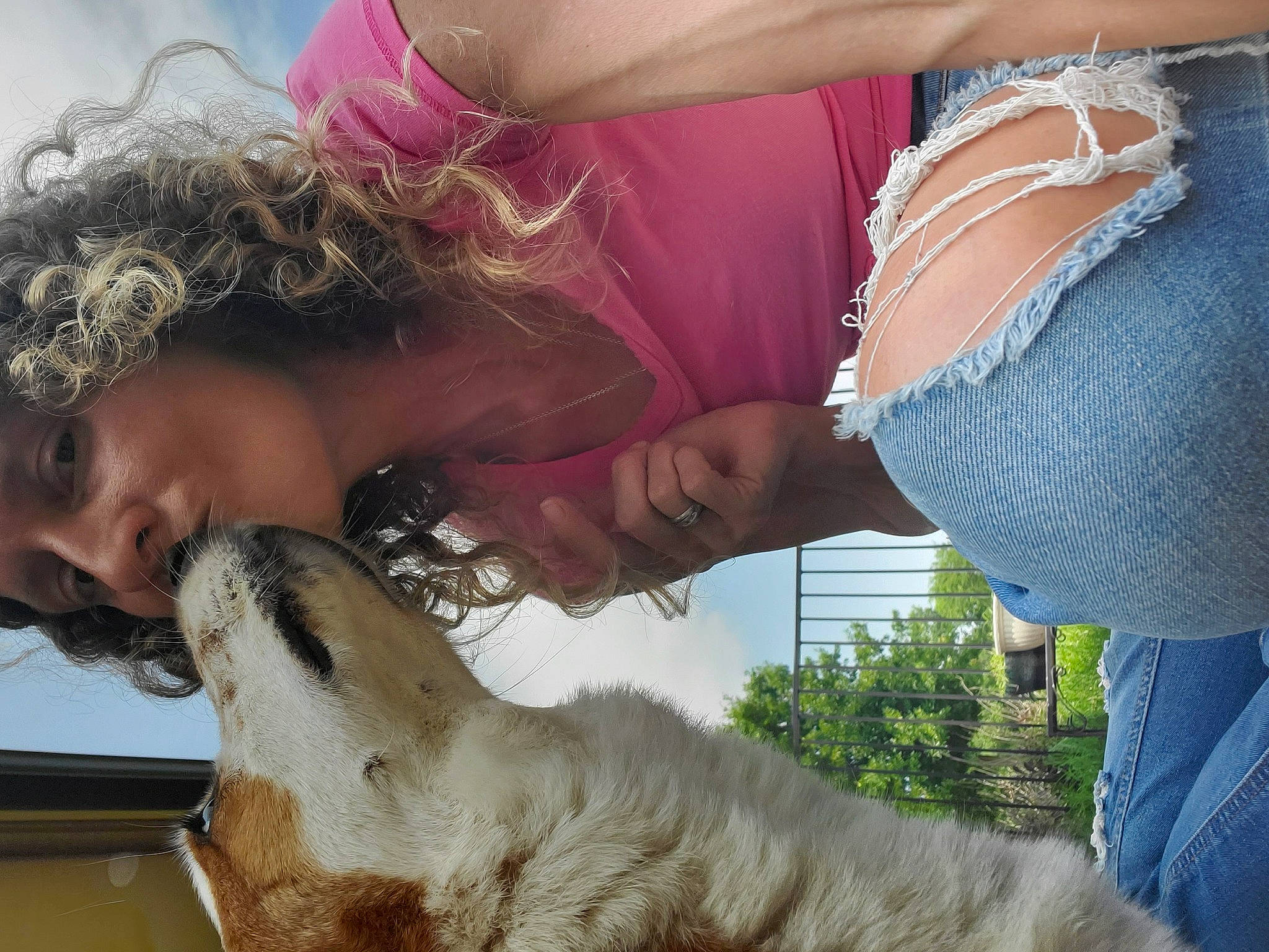 Sir Chesney is registered to the contest to win money with this photo: carnivore, companion_dog, dog_breed, fawn, felidae, fur, gesture, grass, happy, hat, interaction, jewellery, lion, people_in_nature, small_to_medium_sized_cats, snout, sporting_group, terrestrial_animal, wildlife_biologist, working_animal