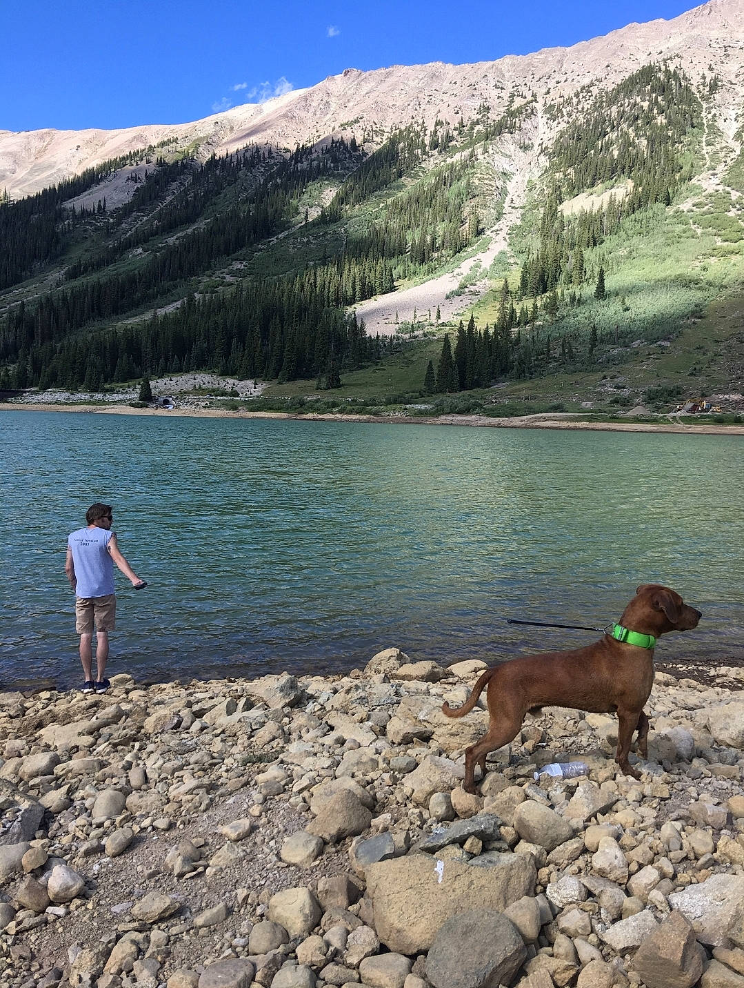Brudel joined the competition — help win amazing prizes! bank, body_of_water, carnivore, dog, fawn, lake, landscape, leisure, mountain, mountain_range, mountainous_landforms, outdoor_recreation, people_in_nature, plant, recreation, sky, tree, water, water_resources, working_animal
