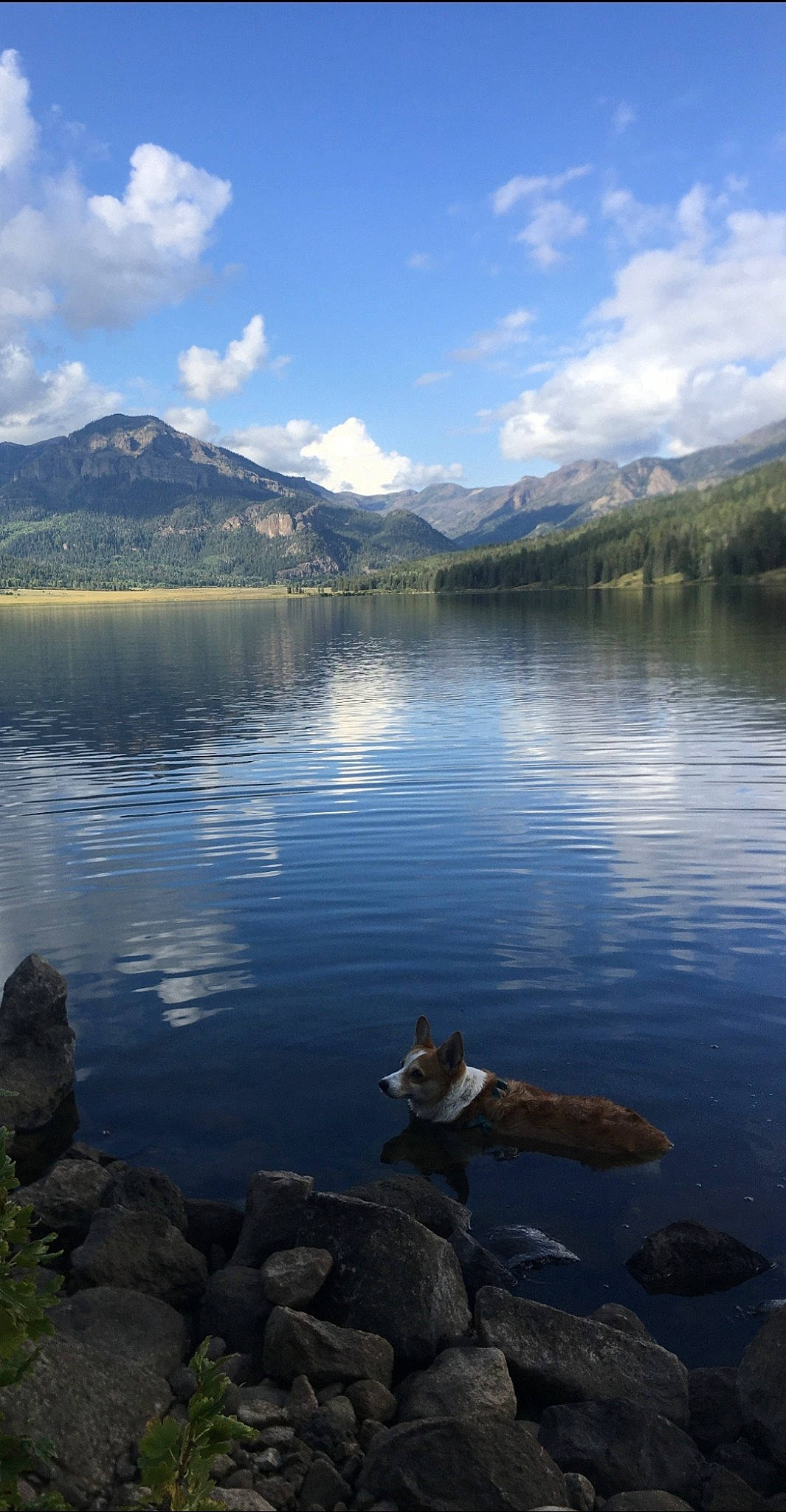 Lizzie joined the competition — help win amazing prizes! azure, bank, cloud, cumulus, highland, horizon, lake, landscape, morning, mountain, mountain_range, mountainous_landforms, natural_landscape, plant, sky, sunlight, tree, water, watercourse, wood