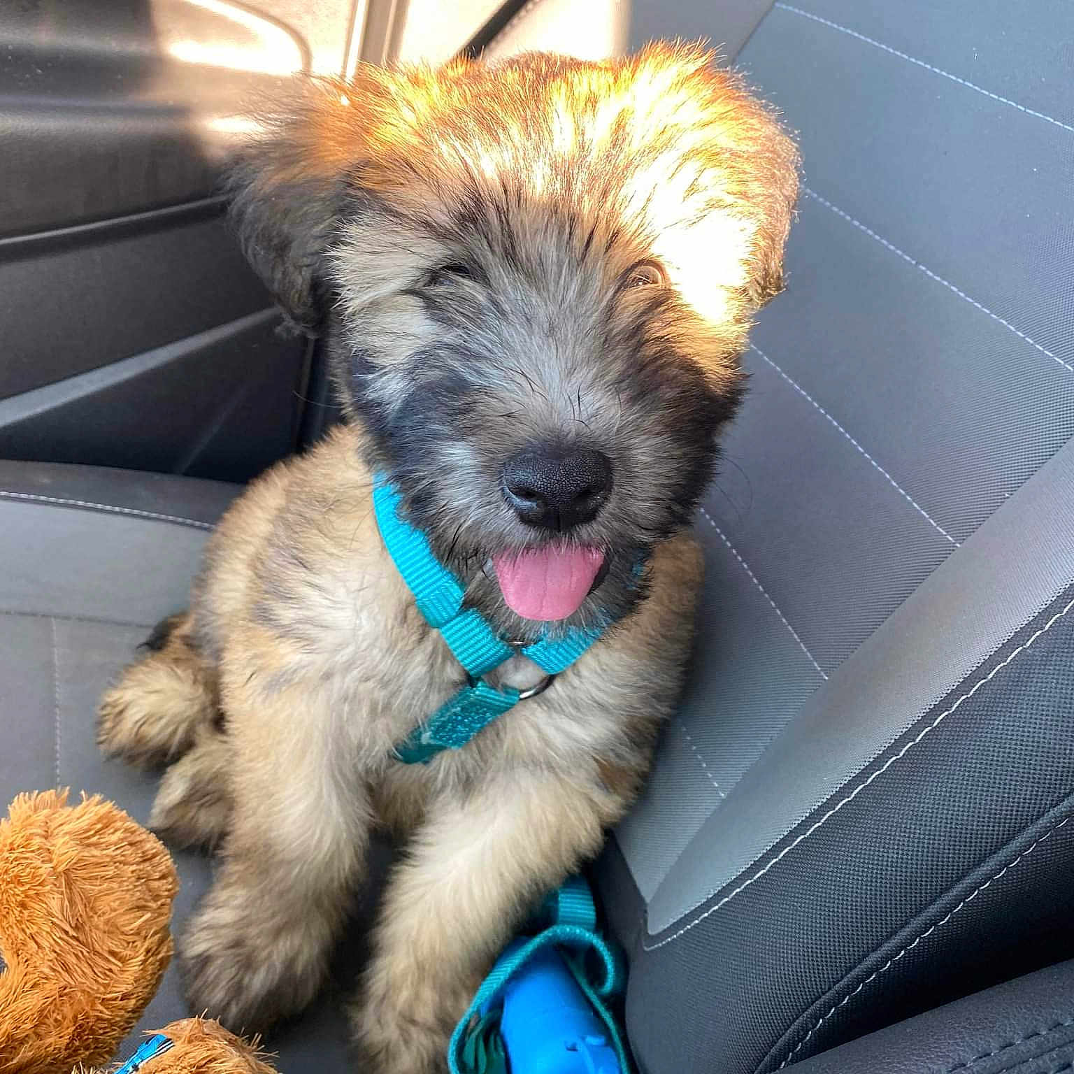Milo