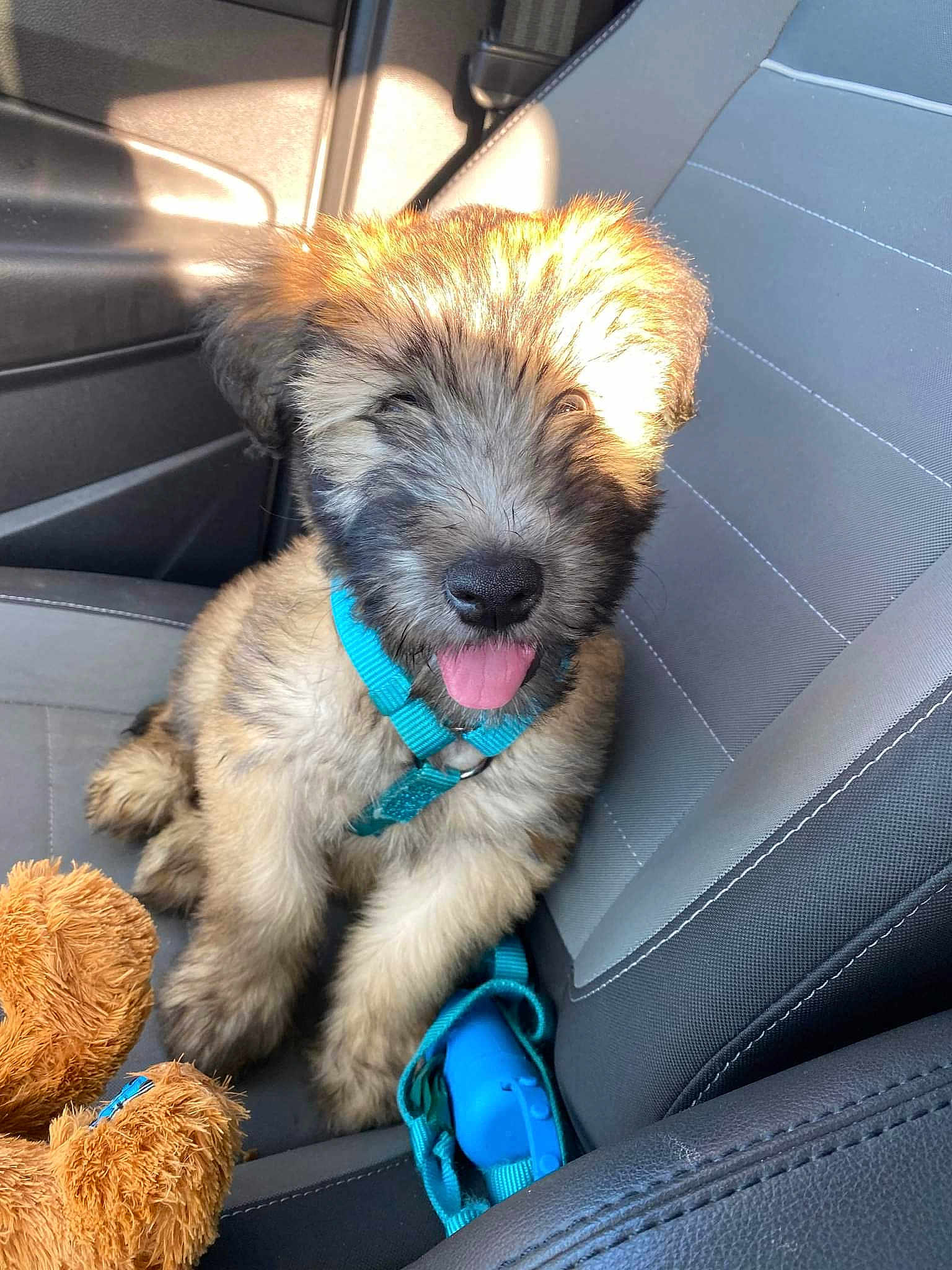 Milo