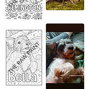 Bella joined the competition — help win amazing prizes! smartphone_screen, app_interface, dog, coloring_page, watermark_text, pet, photo, dog_photo, black_and_white, color_photo, grass, indoor, blanket, cute, animal, fur, paw_print, text_overlay, digital, mobile