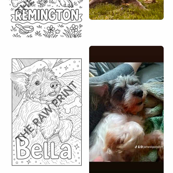 Bella
