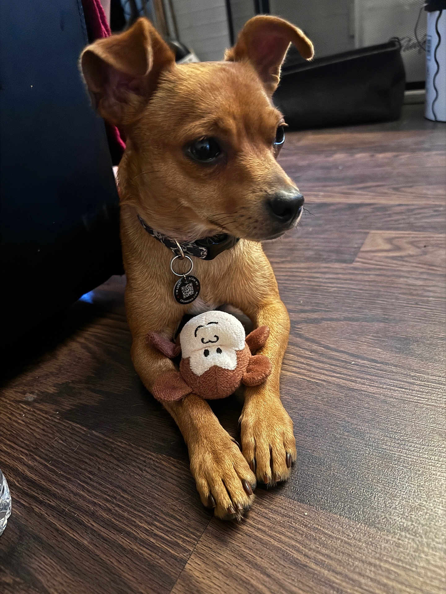 Petey