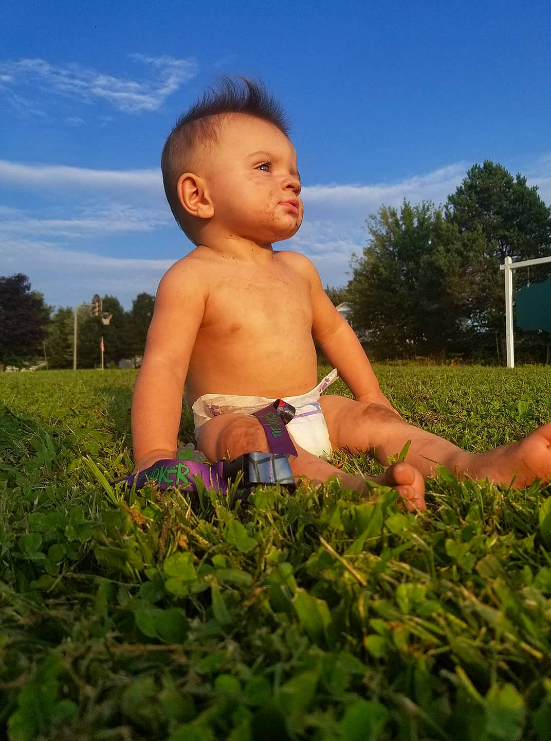 Mark joined the competition — help win amazing prizes! abdomen, agriculture, boy, child, fun, girl, grass, grass_family, happiness, infant, lawn, meadow, person, plant, play, smile, summer, toddler, tree, trunk