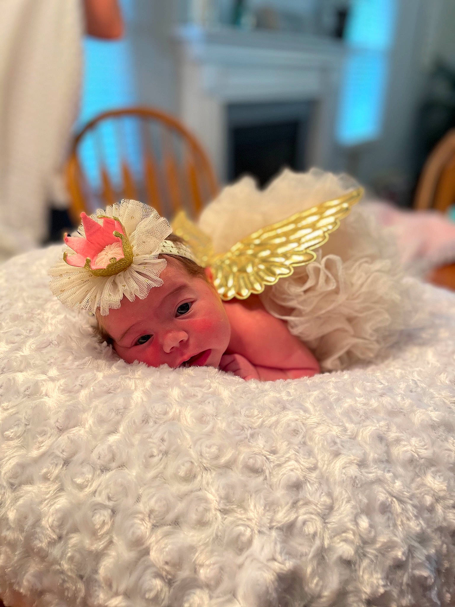 Charolette is registered to the contest to win money with this photo: angel, baby, baby_toddler_clothing, comfort, costume_hat, event, fashion_accessory, fawn, flower, happy, hat, headband, headpiece, jewellery, linens, person, petal, room, toddler, toy