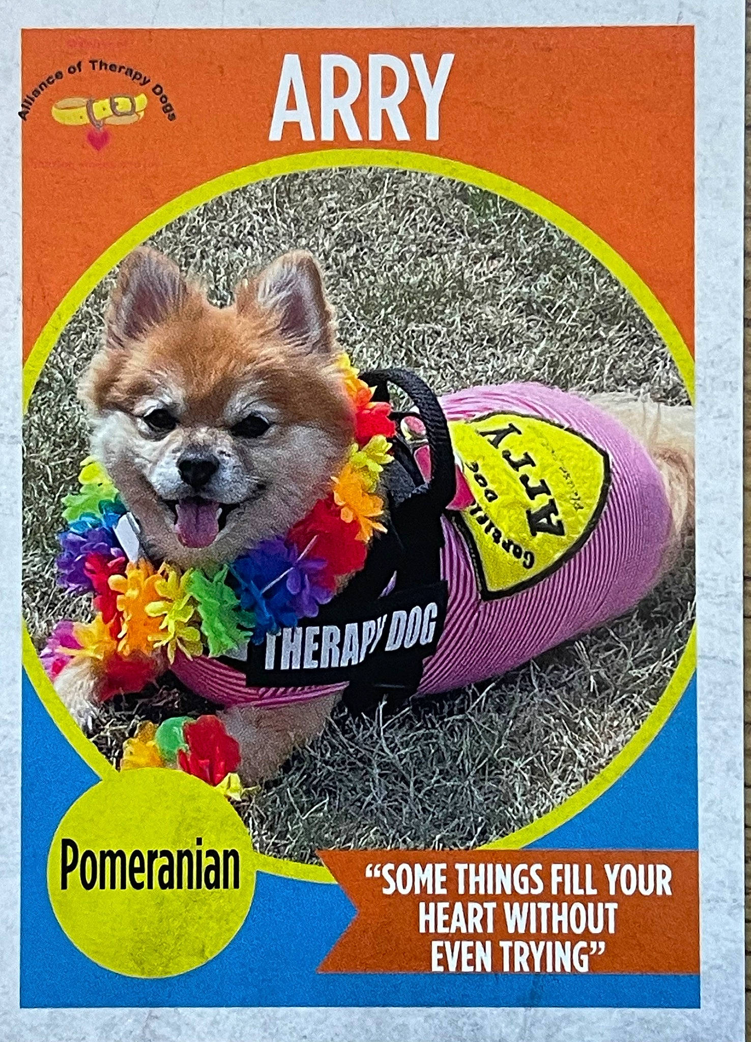 Arry is registered to the contest to win money with this photo: advertising, art, carnivore, cat_supply, circle, companion_dog, creative_arts, dog, dog_breed, dog_supply, fawn, font, pet_supply, photo_caption, poster, publication, recipe, rectangle, toy_dog, vintage_advertisement