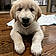 Milo